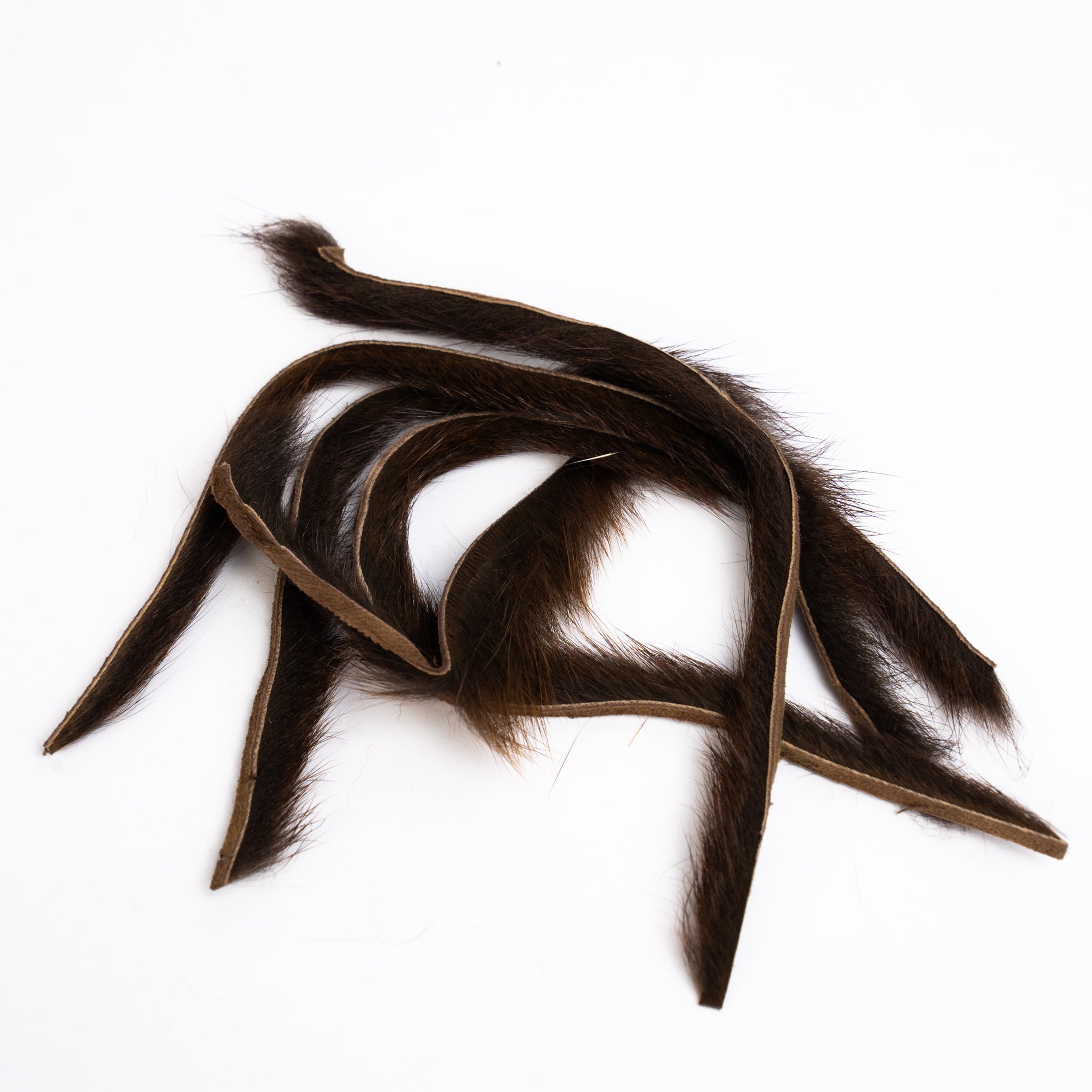 Wapsi Pine Squirrel Zonkers