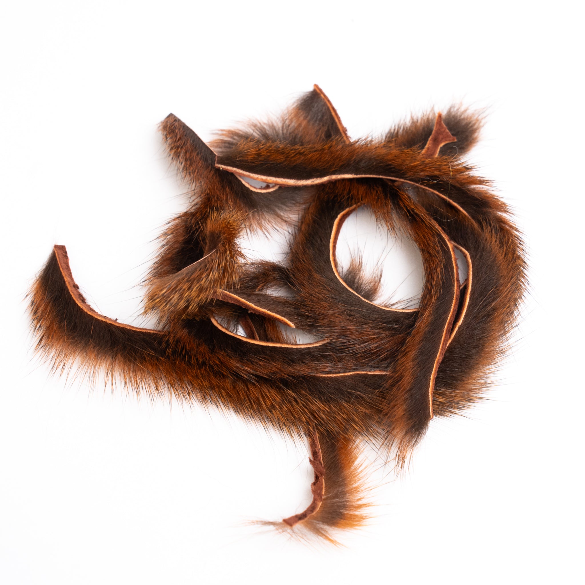 Wapsi Pine Squirrel Zonkers