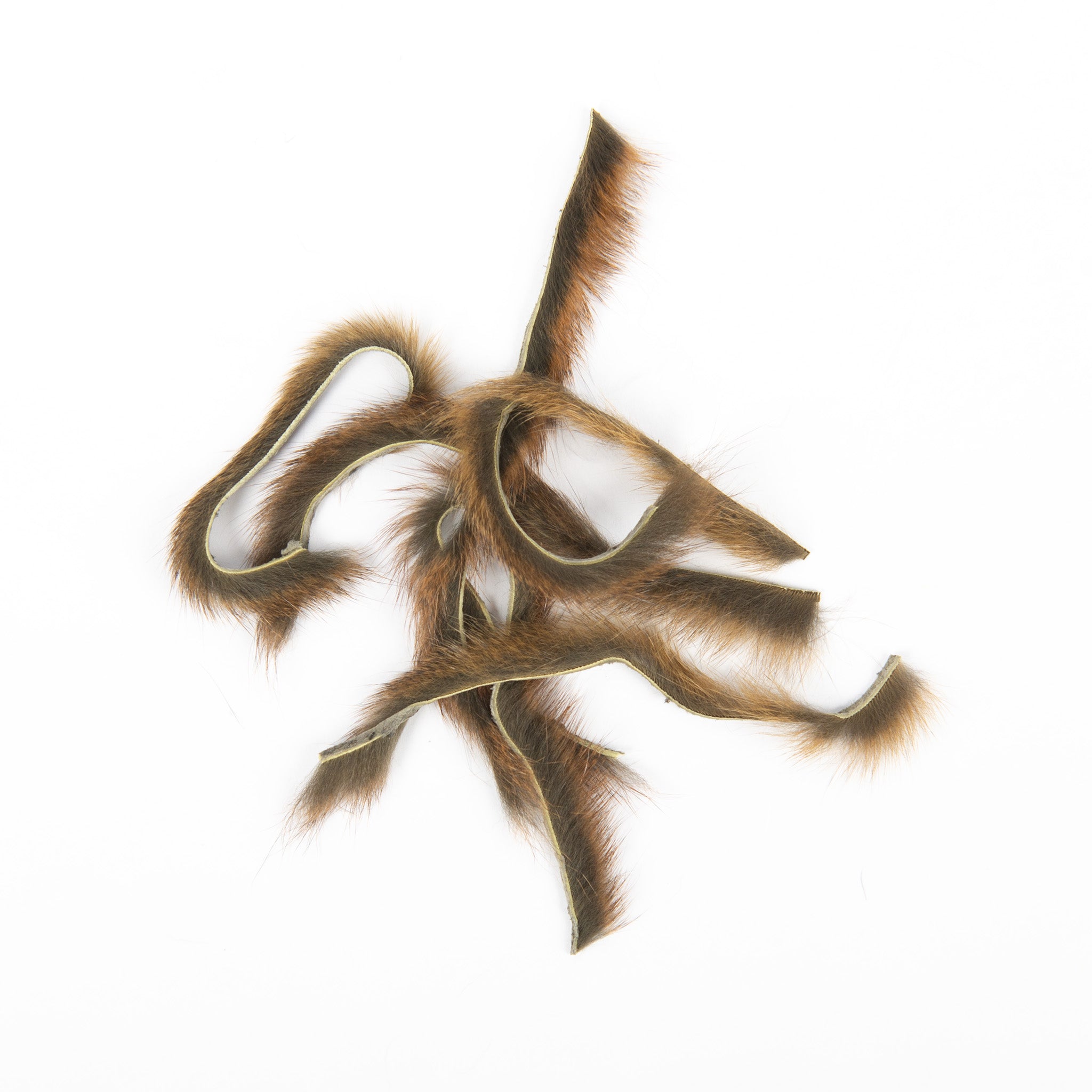 Wapsi Pine Squirrel Zonkers