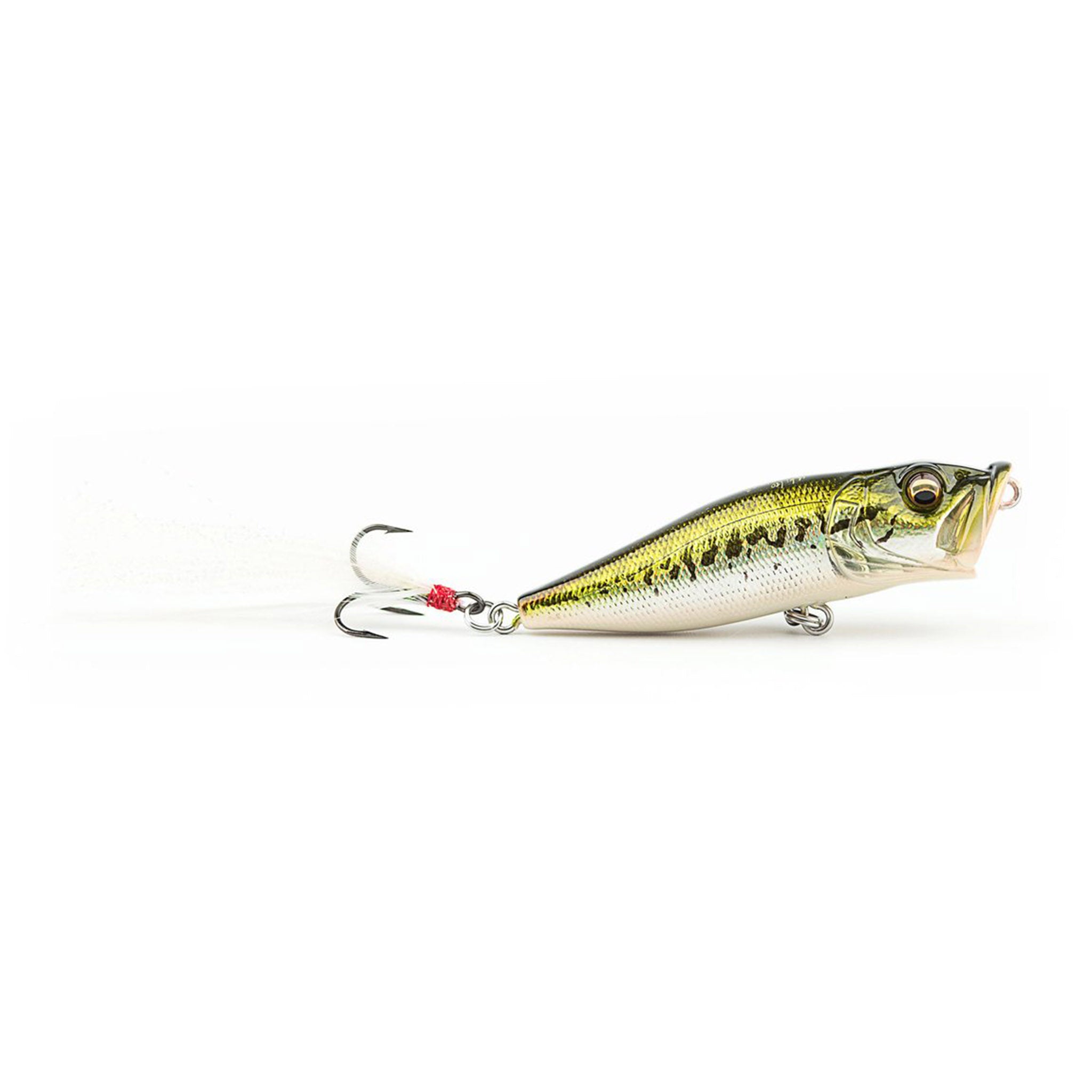 Megabass Pop-X