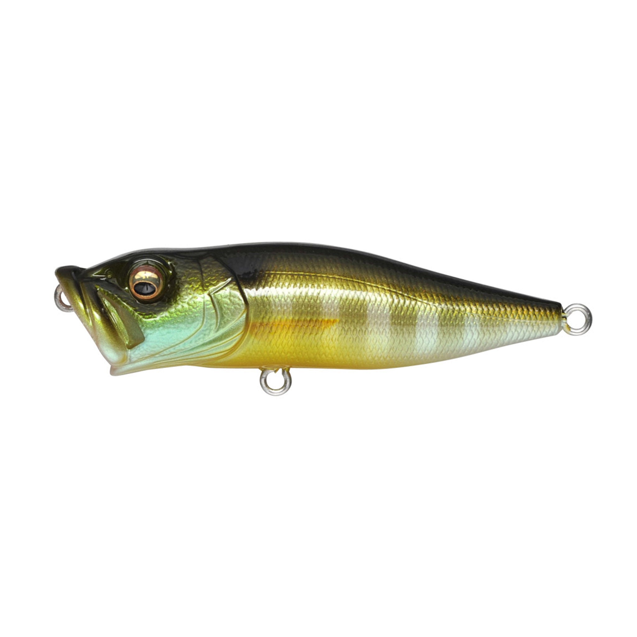 Megabass Pop-X
