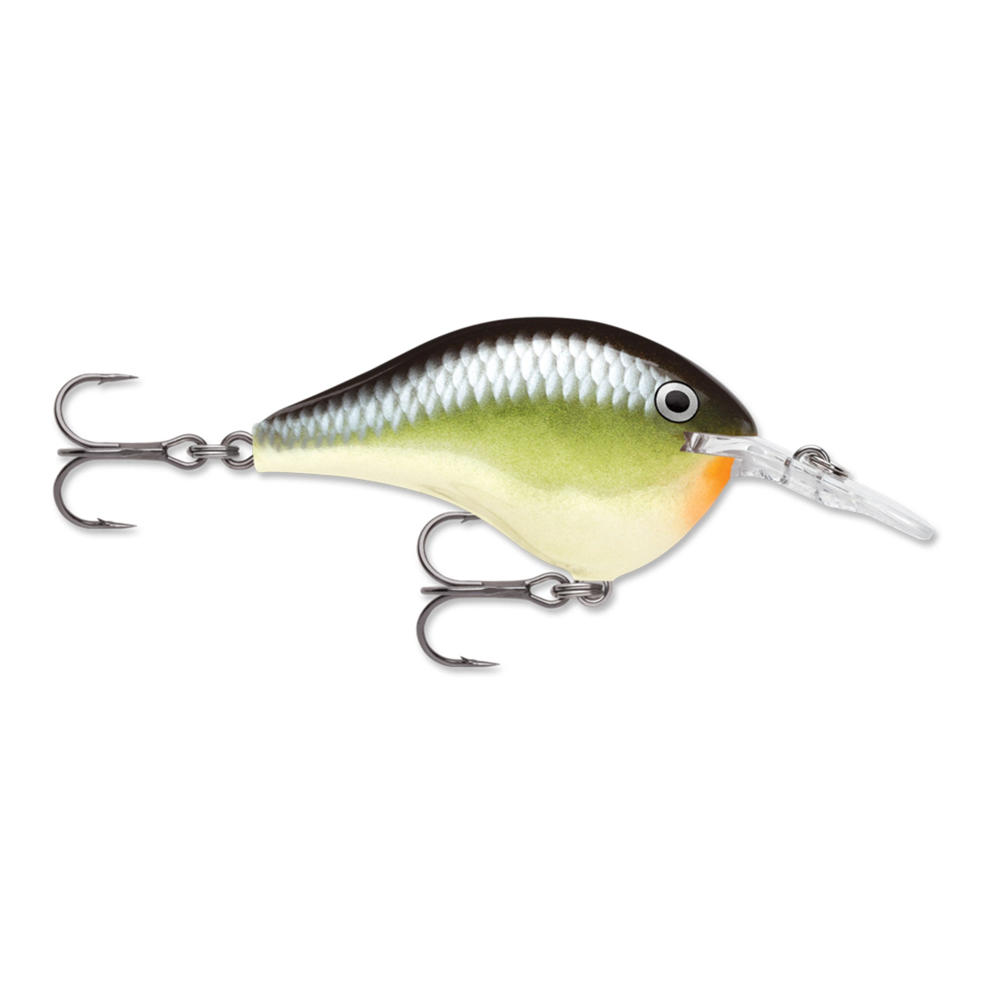 Rapala DT 6 Crankbait