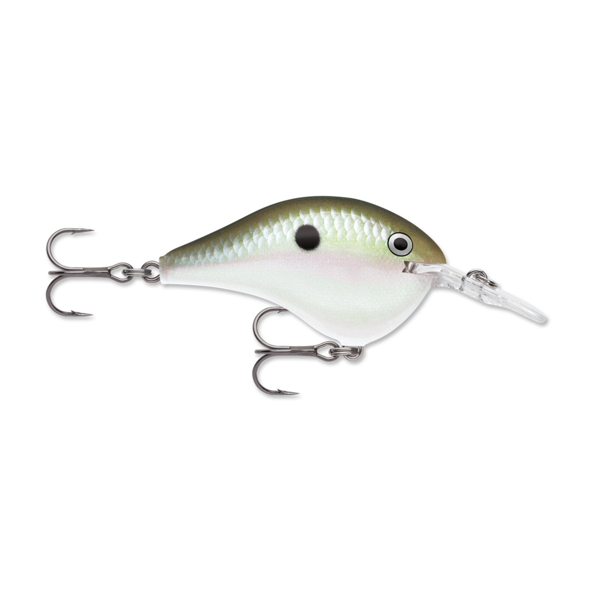Rapala DT 4 Crankbait