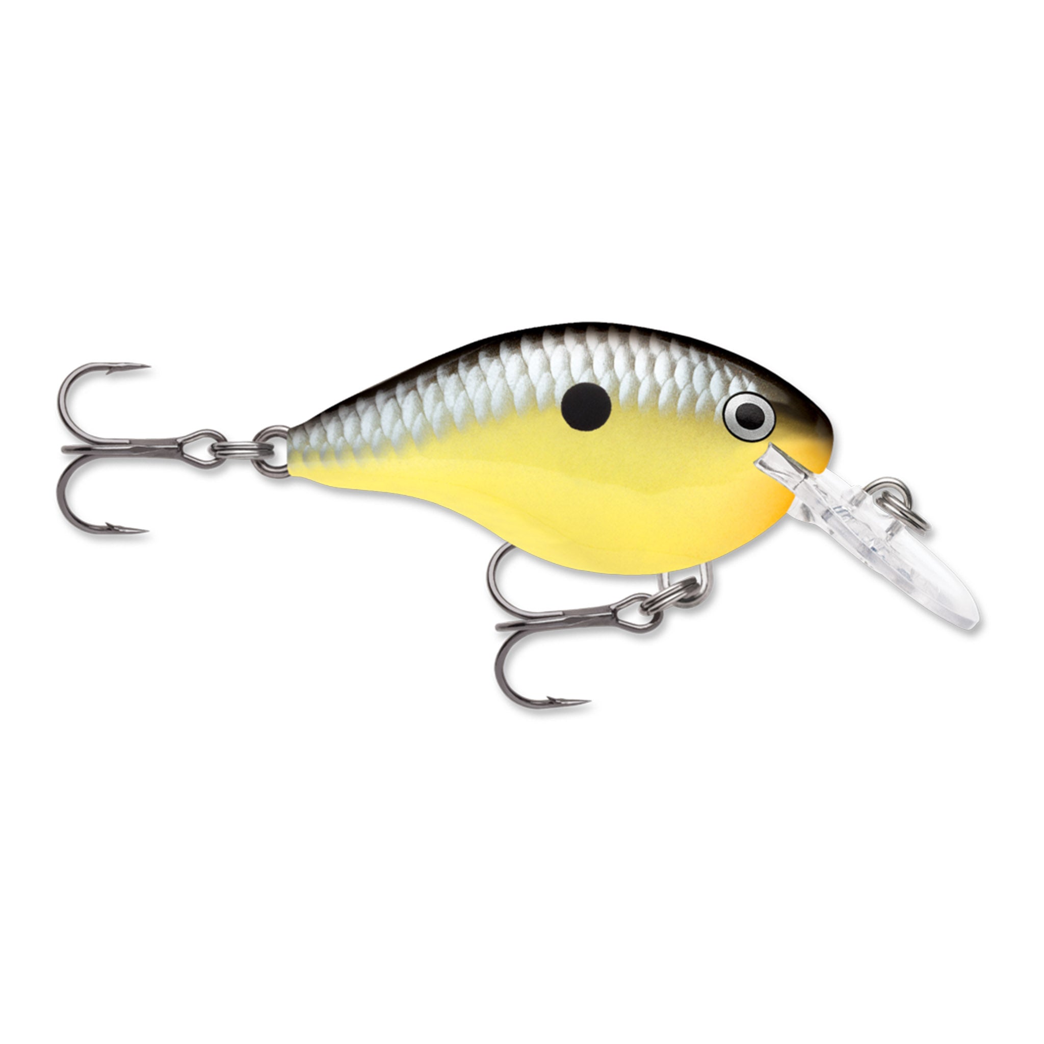 Rapala DT 6 Crankbait