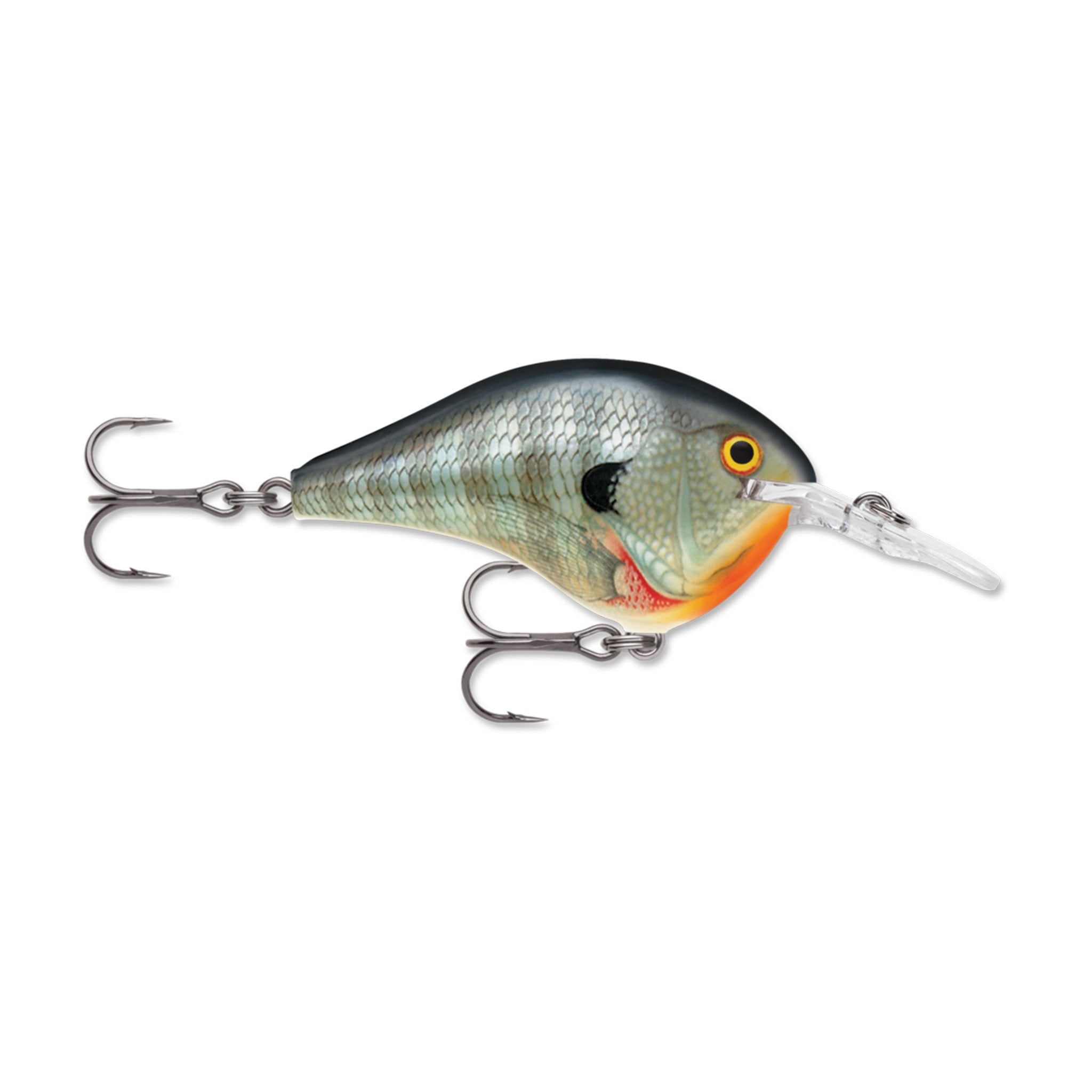 Rapala DT 4 Crankbait