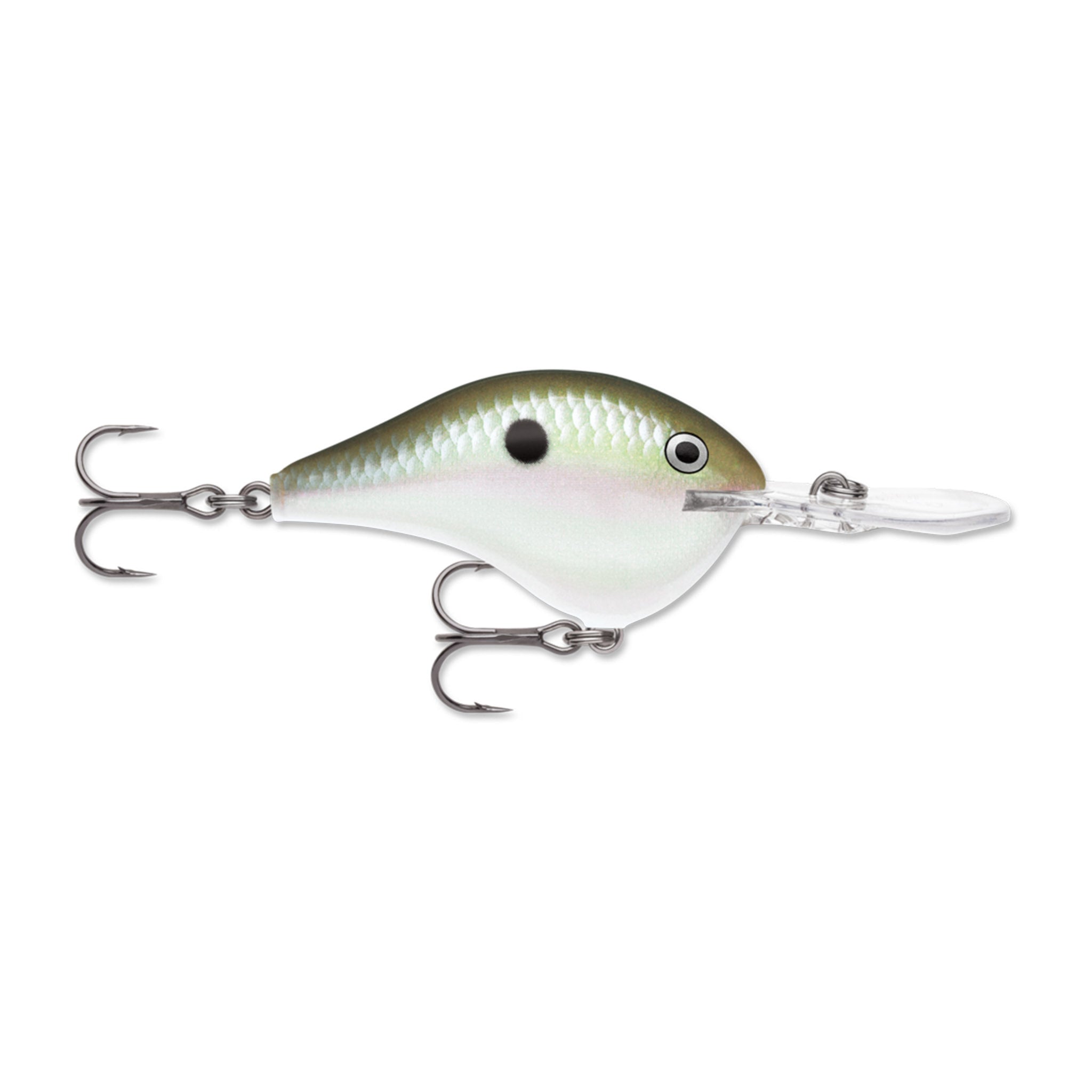 Rapala DT 14 Crankbait