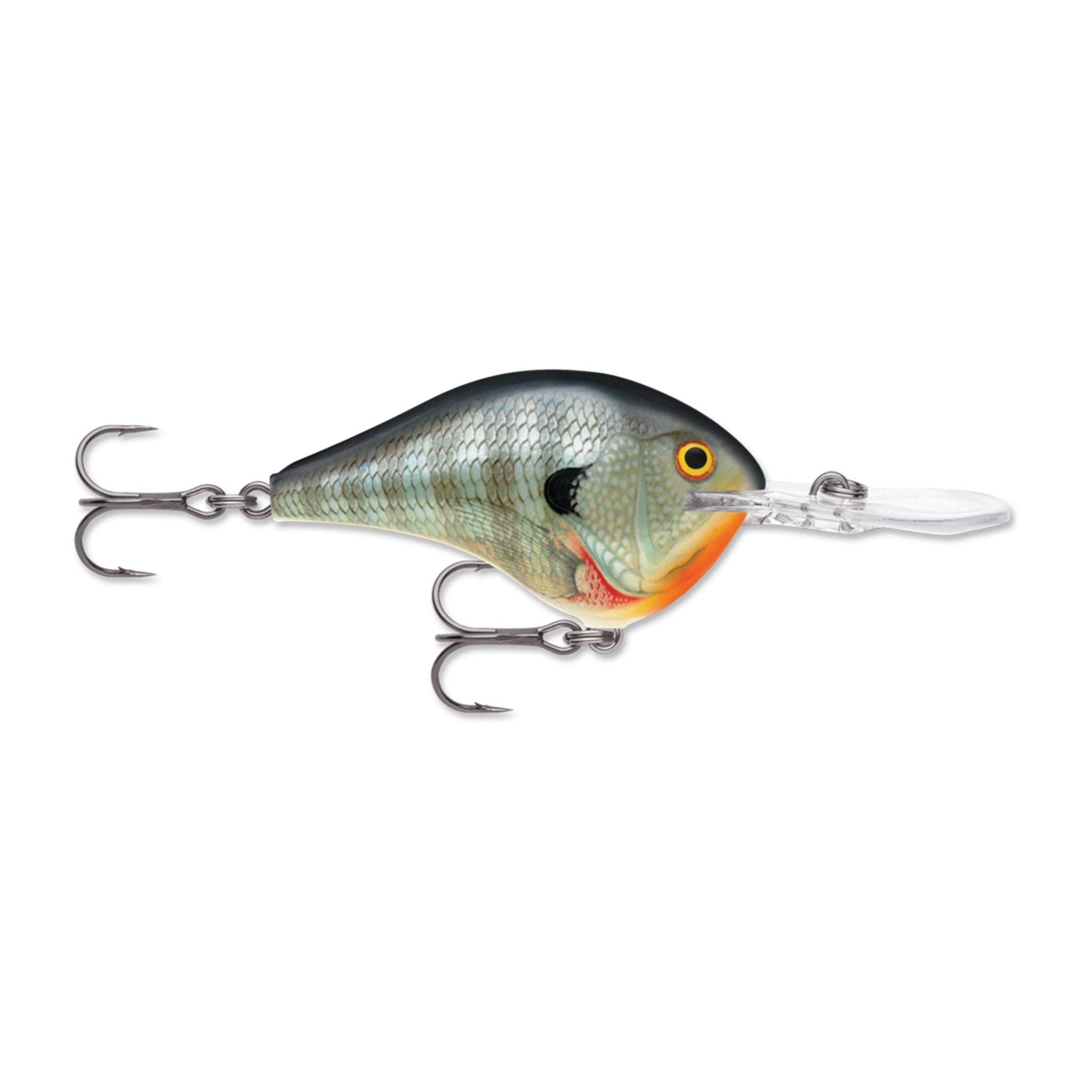 Rapala DT 14 Crankbait