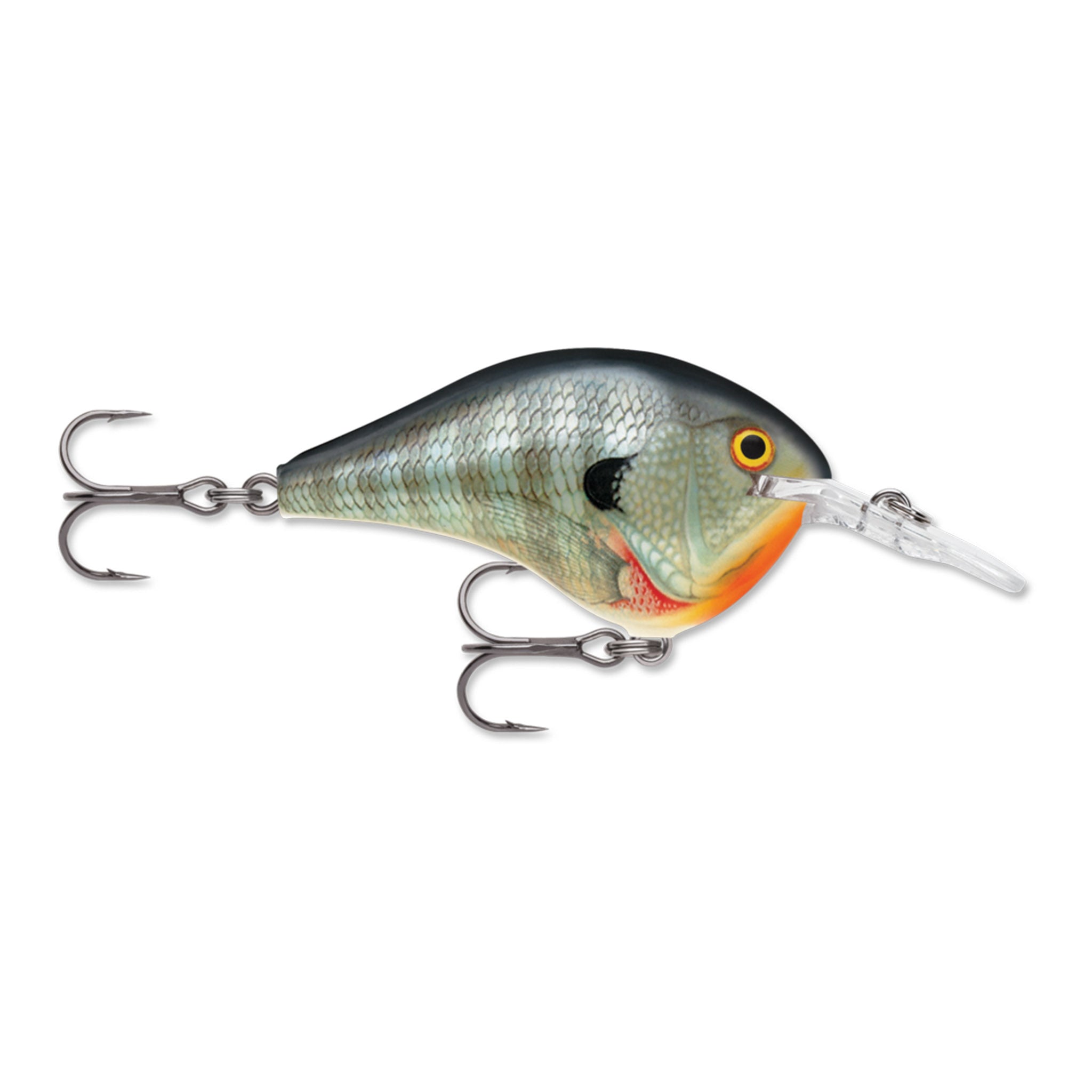 Rapala DT 6 Crankbait