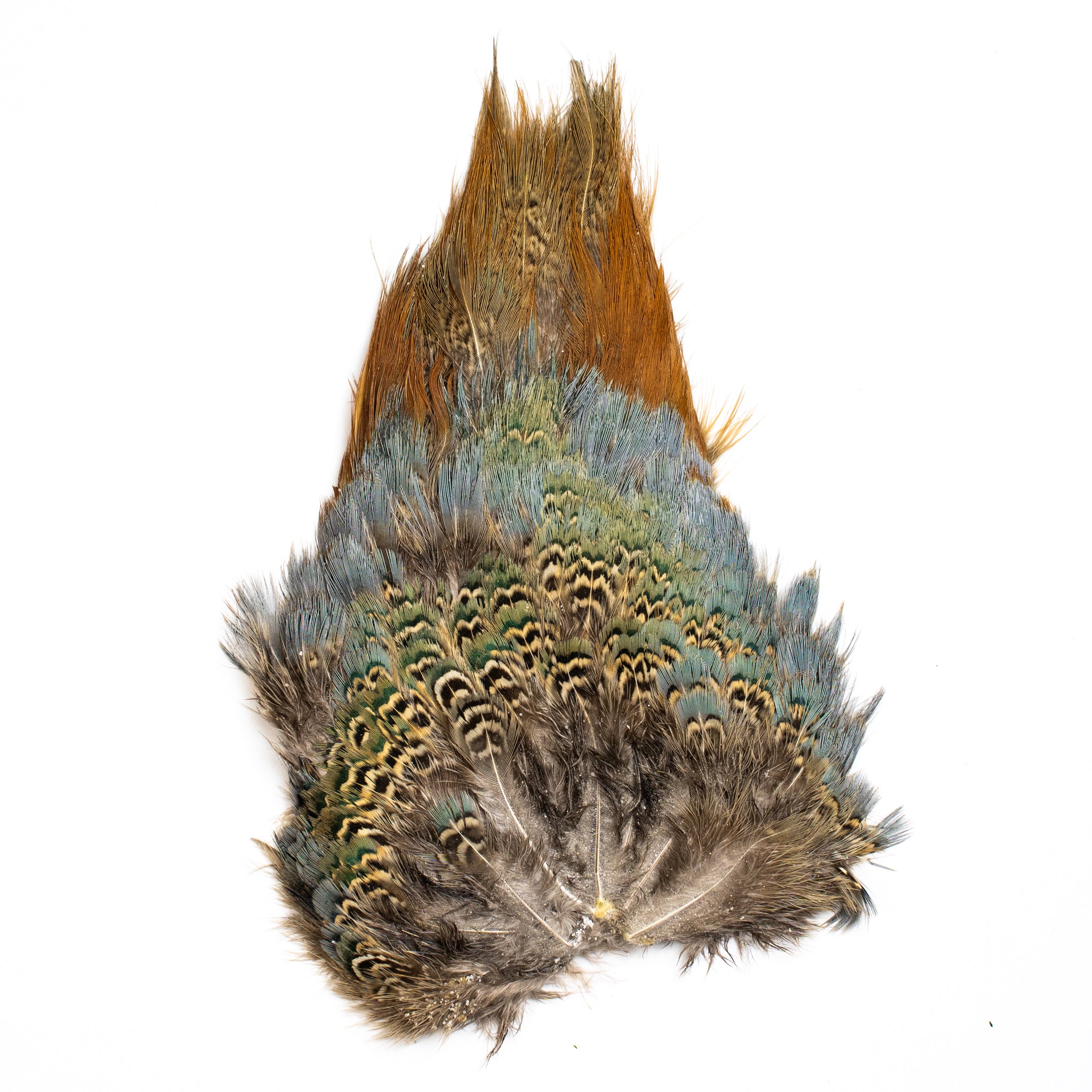 Nature's Spirit Fish Hunter Ringneck Rump Patch