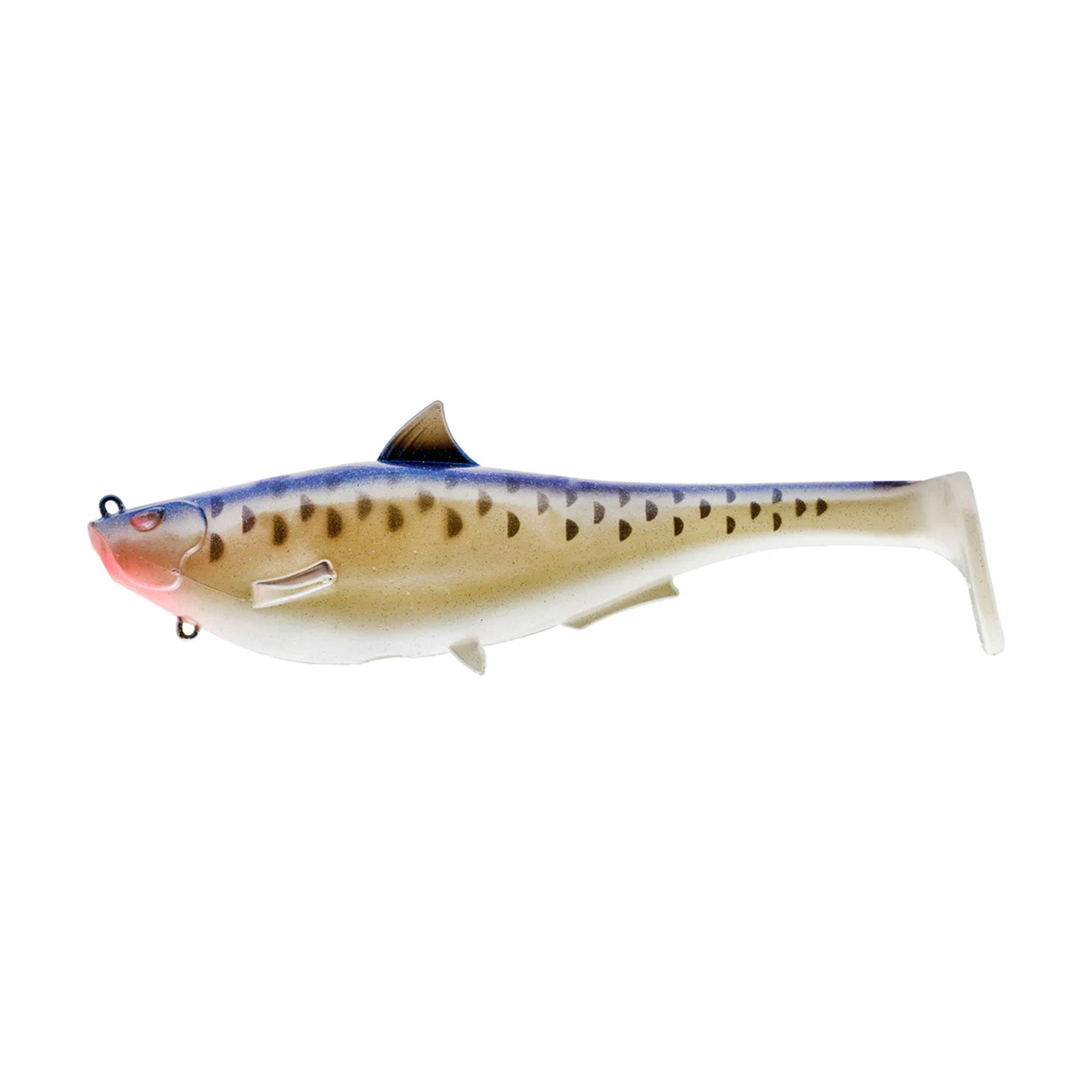 Spro Megalojohn 6" Swimbait