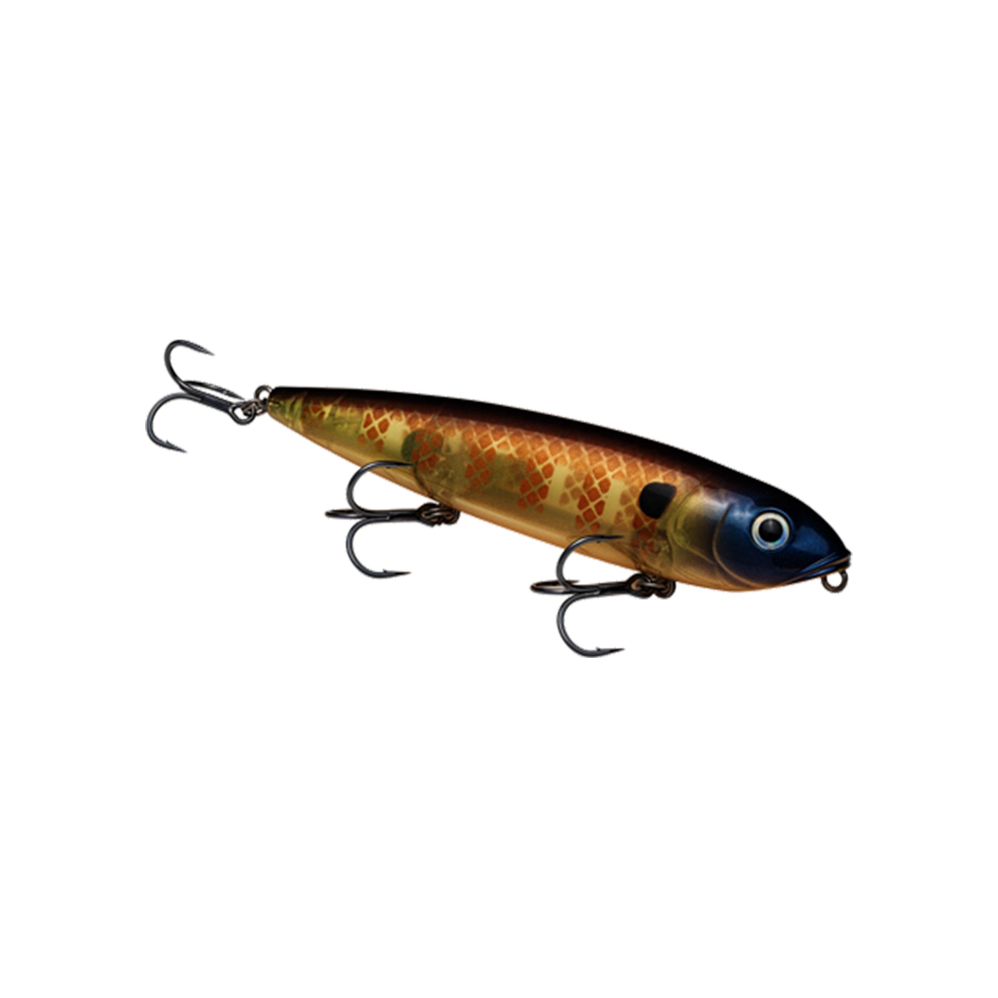 Strike King KVD Sexy Dawg Hard Knocker Topwater Bait