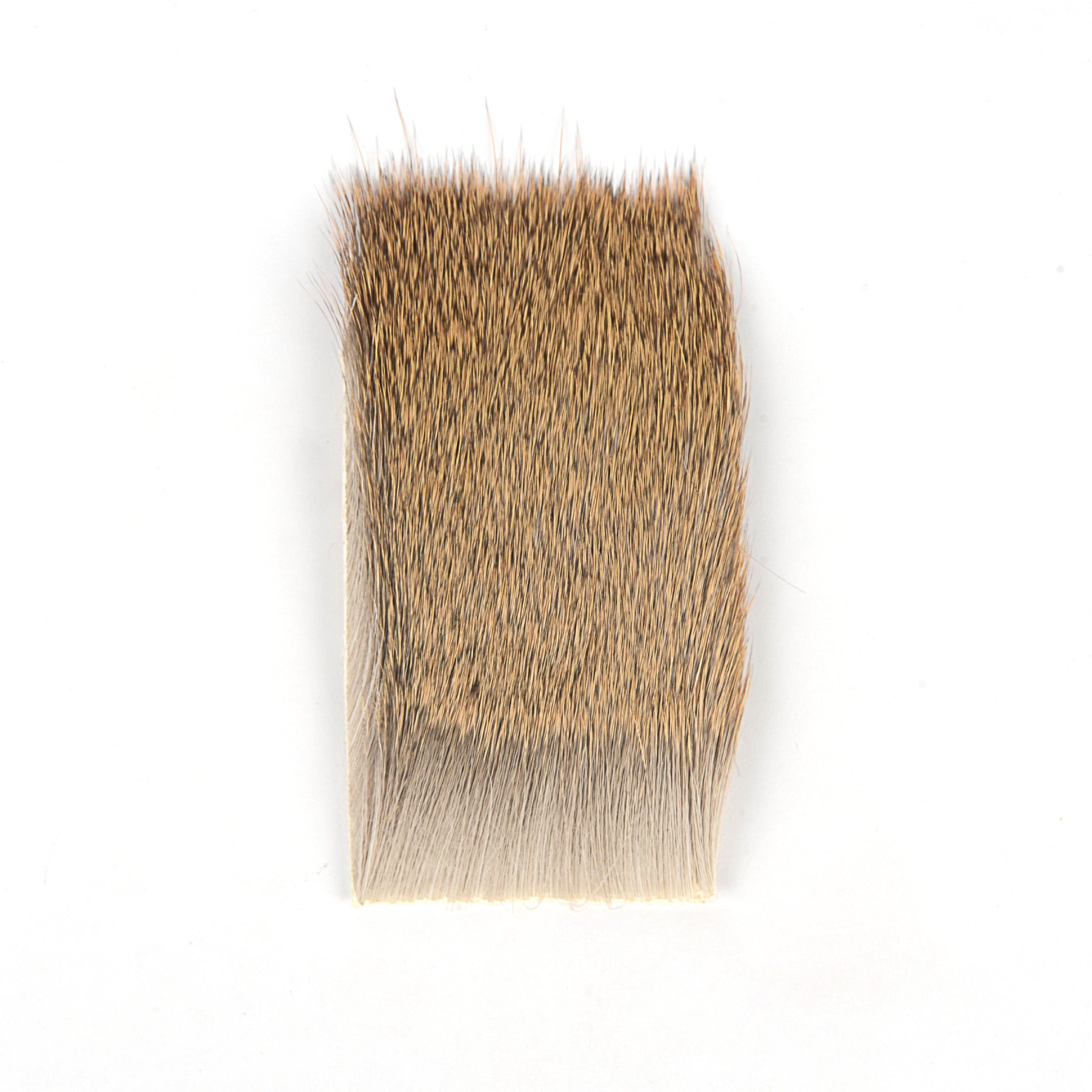 Varner's Short Fine Hair