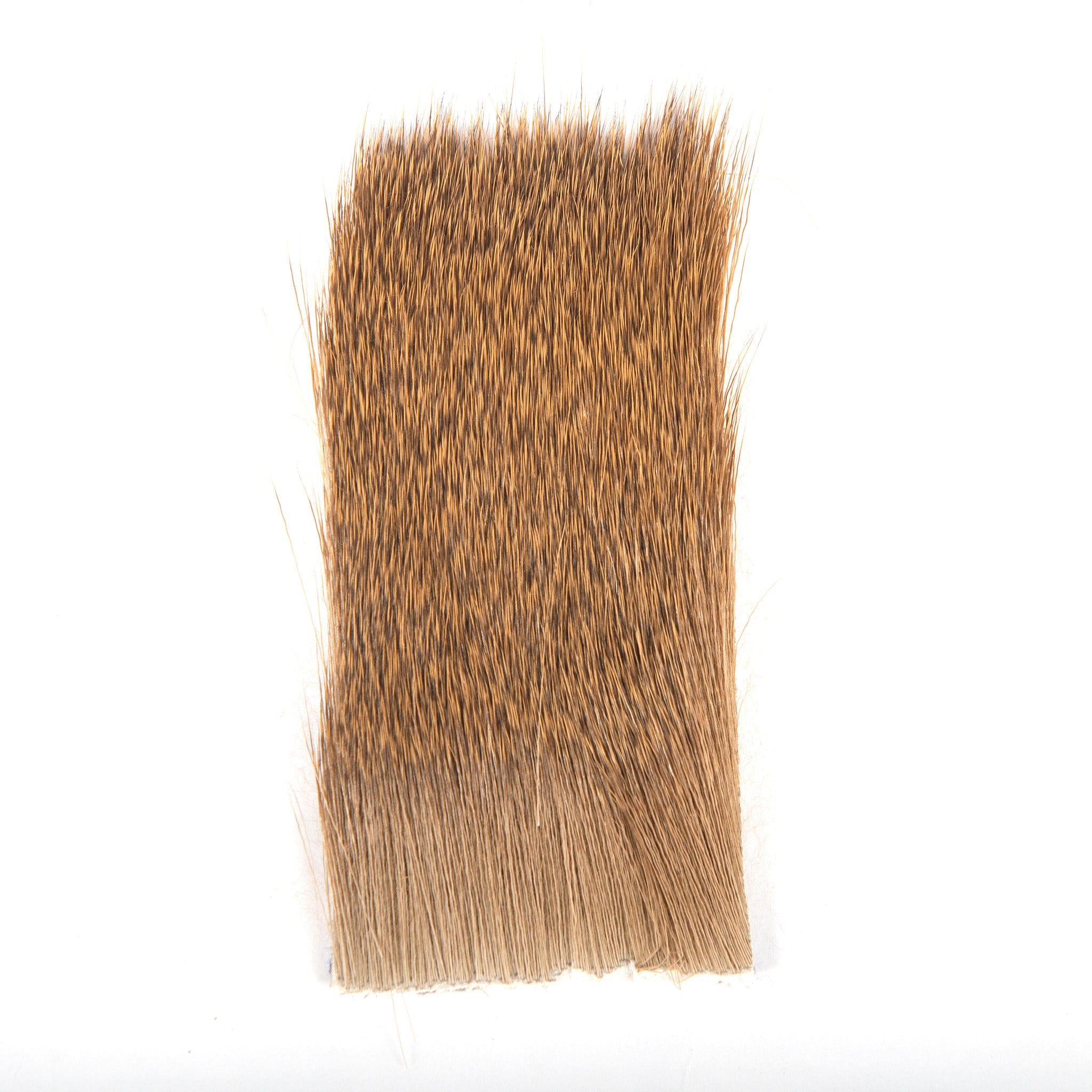 Varner's Short Fine Hair