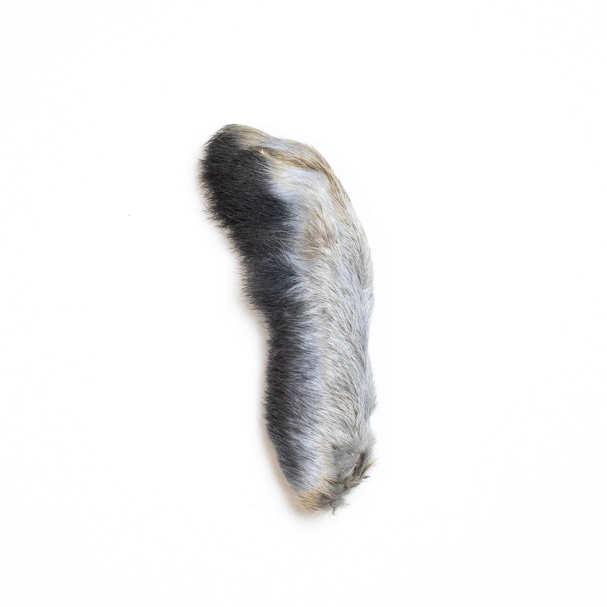 Nature's Spirit Snowshoe Rabbit's Foot