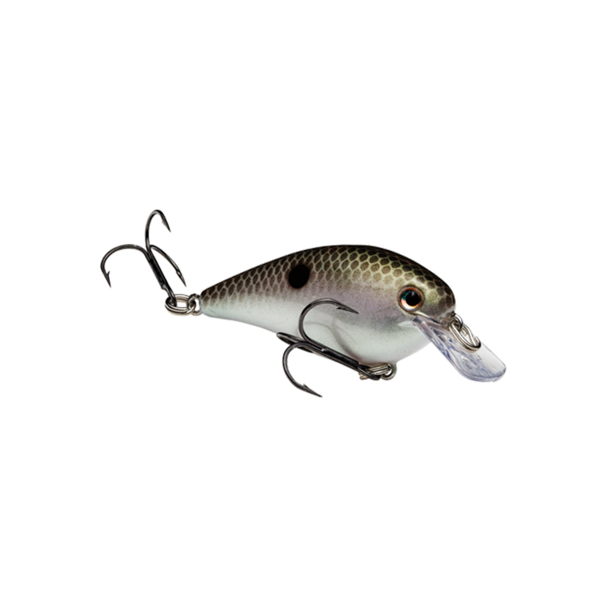 Strike King KVD Squarebill 1.0 Crankbait