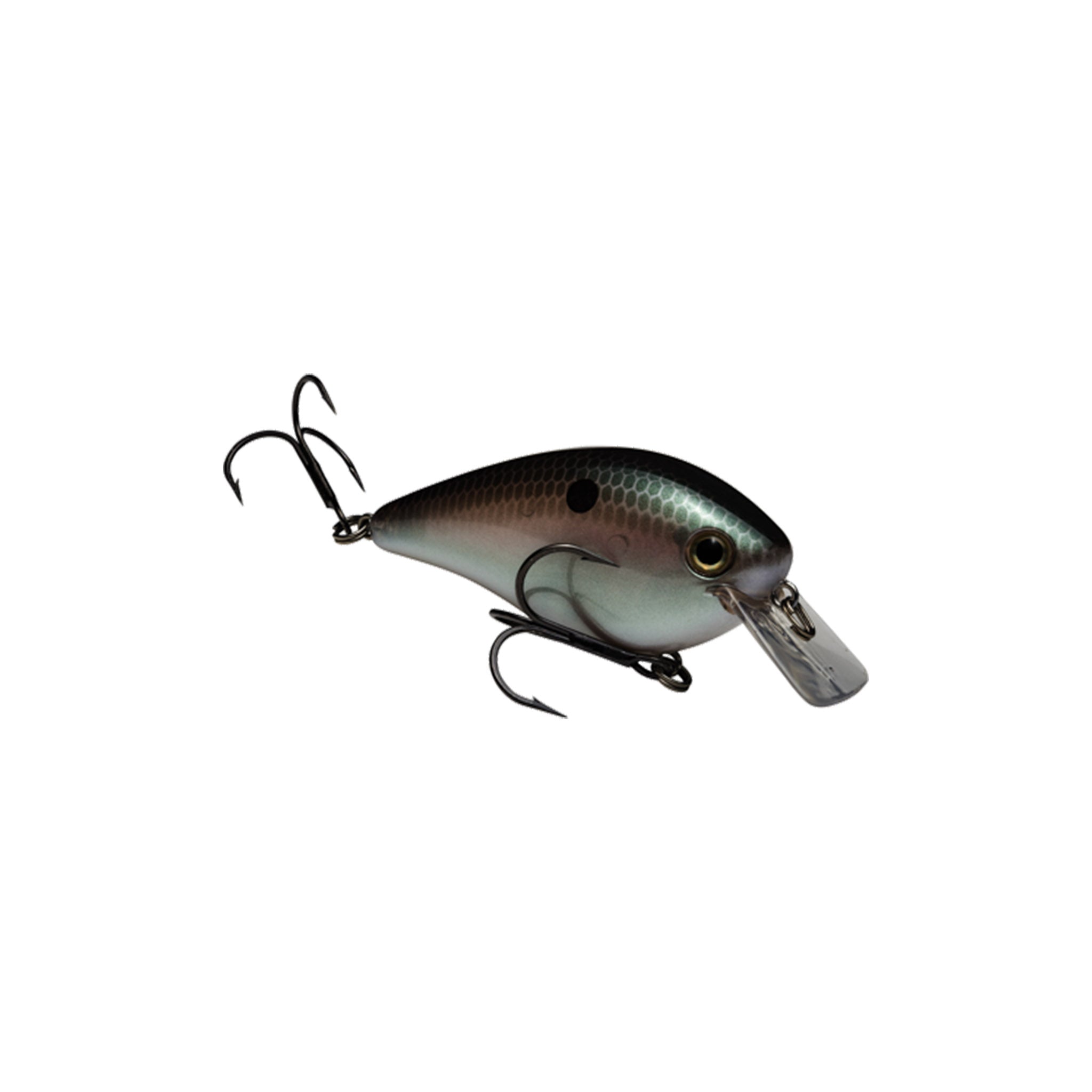 Strike King KVD Square Bill 2.5