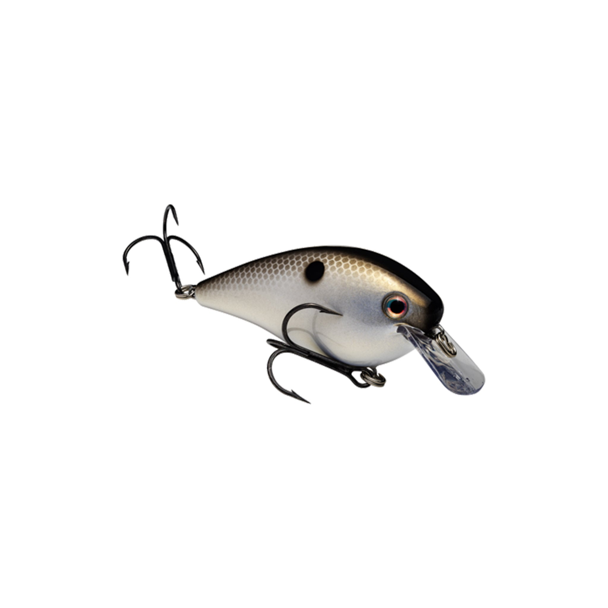 Strike King KVD Square Bill 2.5