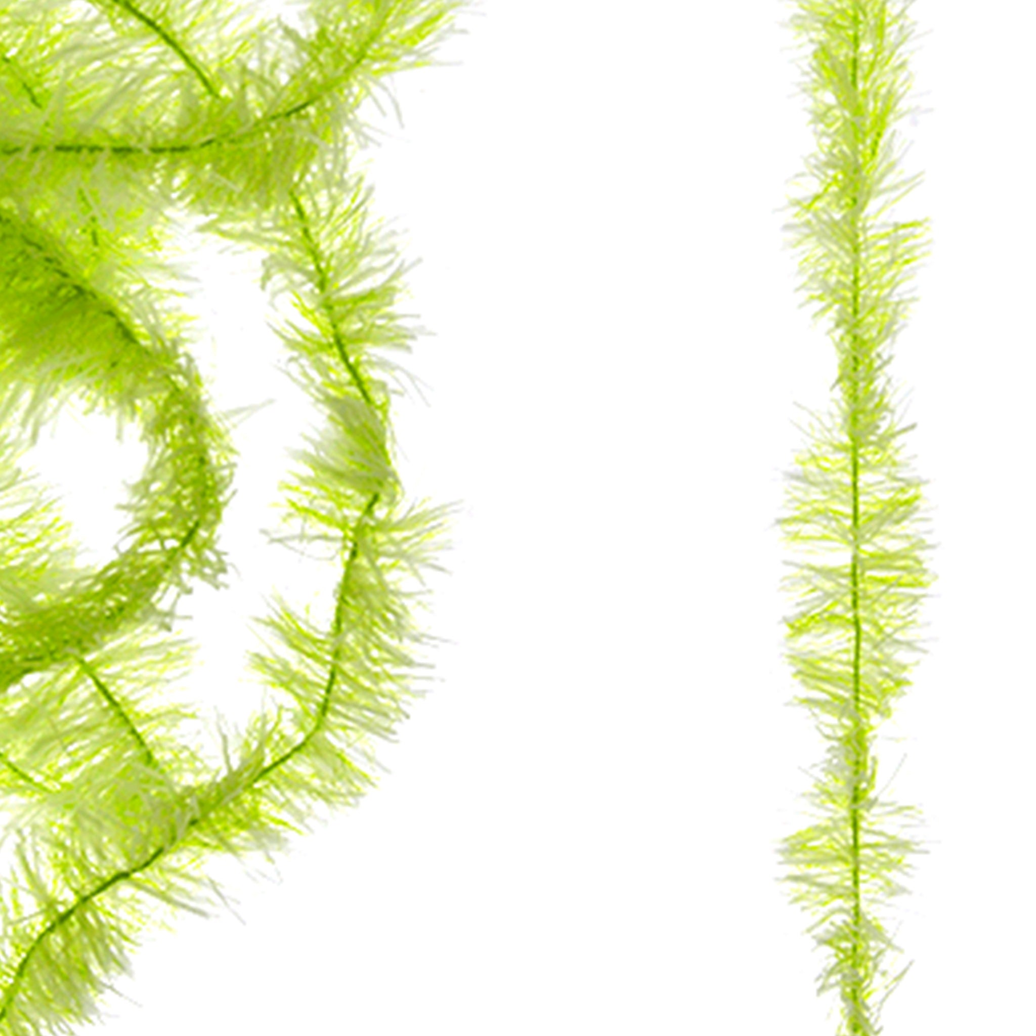 Senyo's Super Satin Chenille