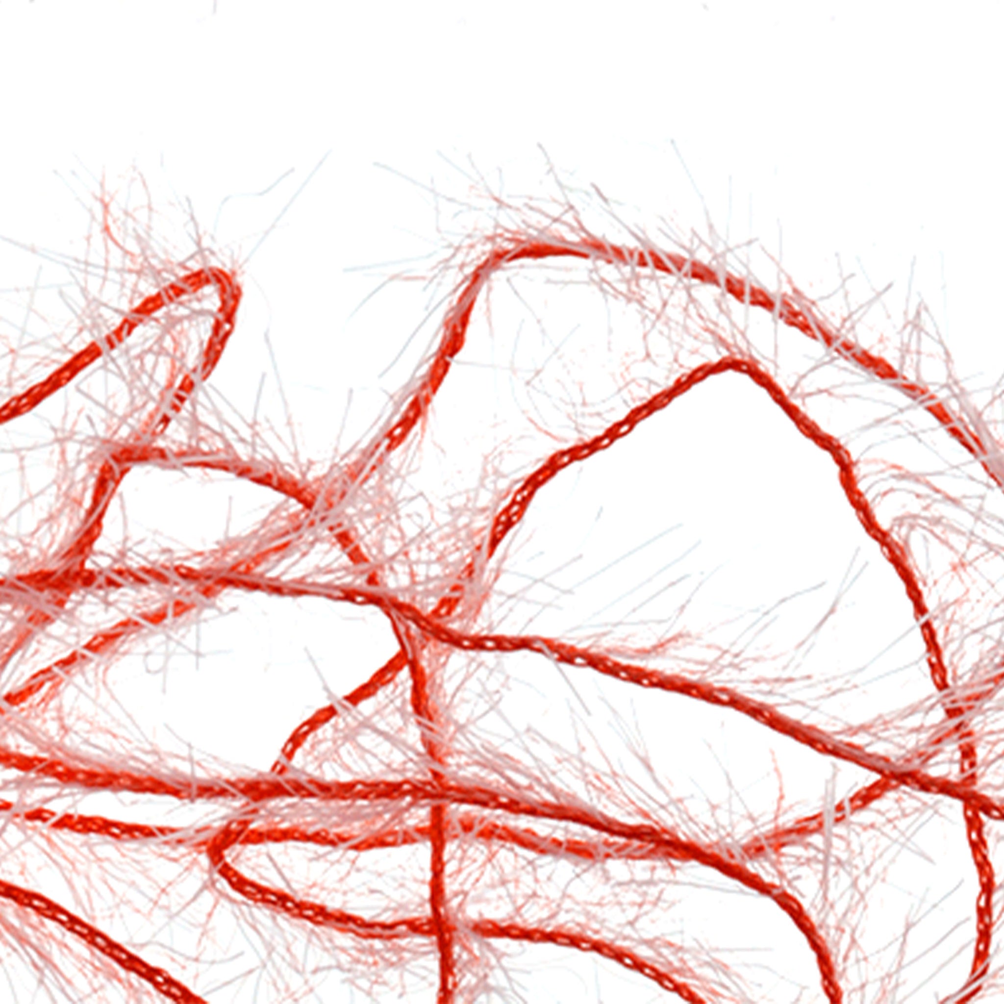 Senyo's Super Satin Polar Chenille