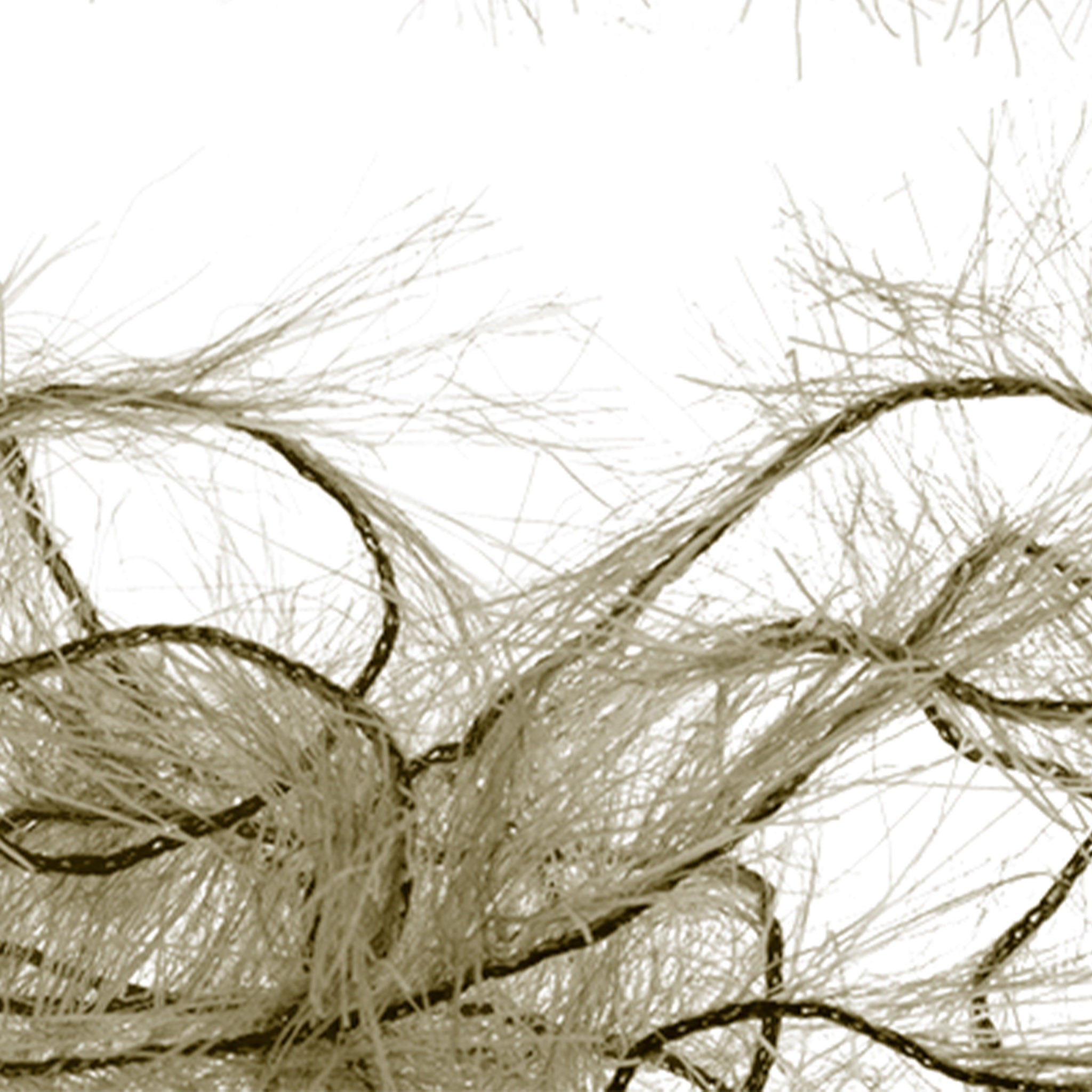 Senyo's Super Satin Polar Chenille