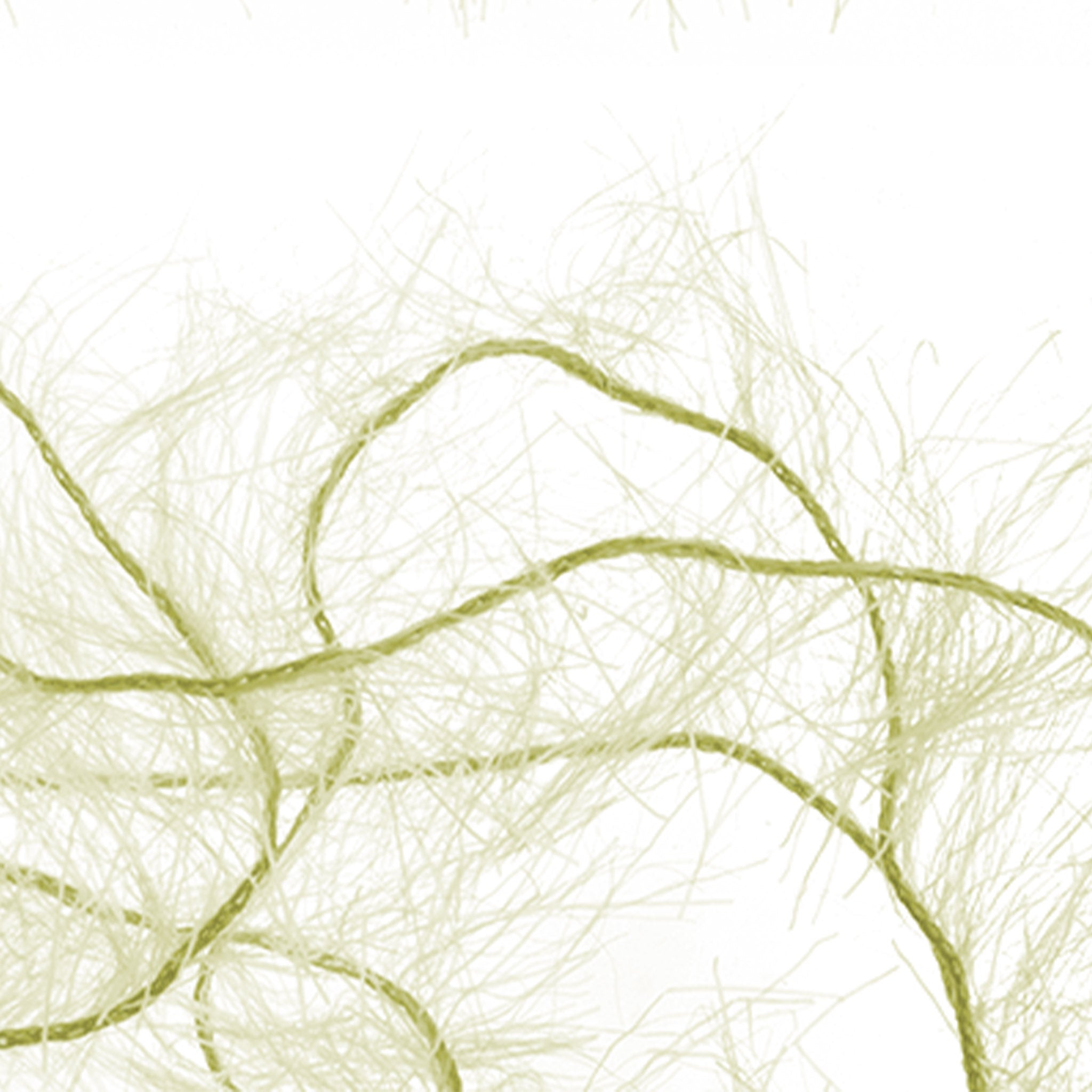 Senyo's Super Satin Polar Chenille