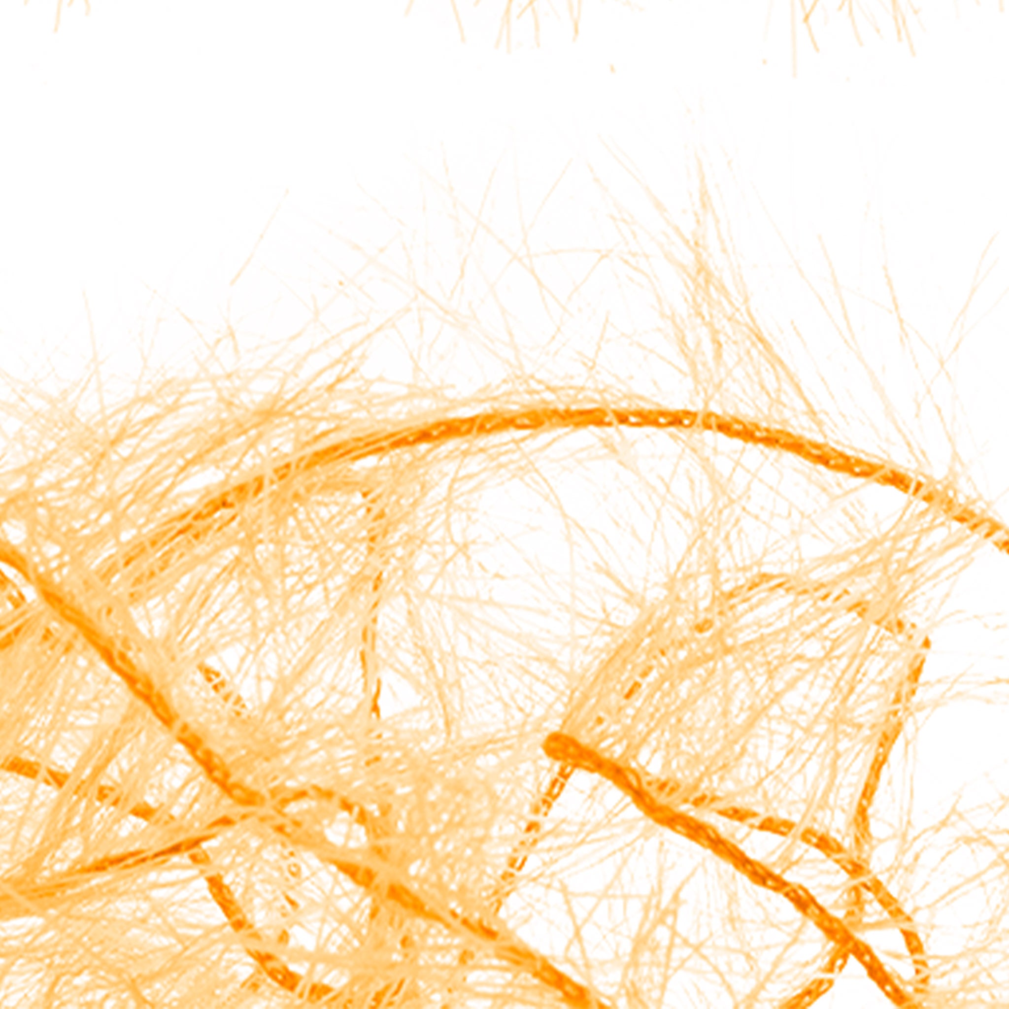 Senyo's Super Satin Polar Chenille