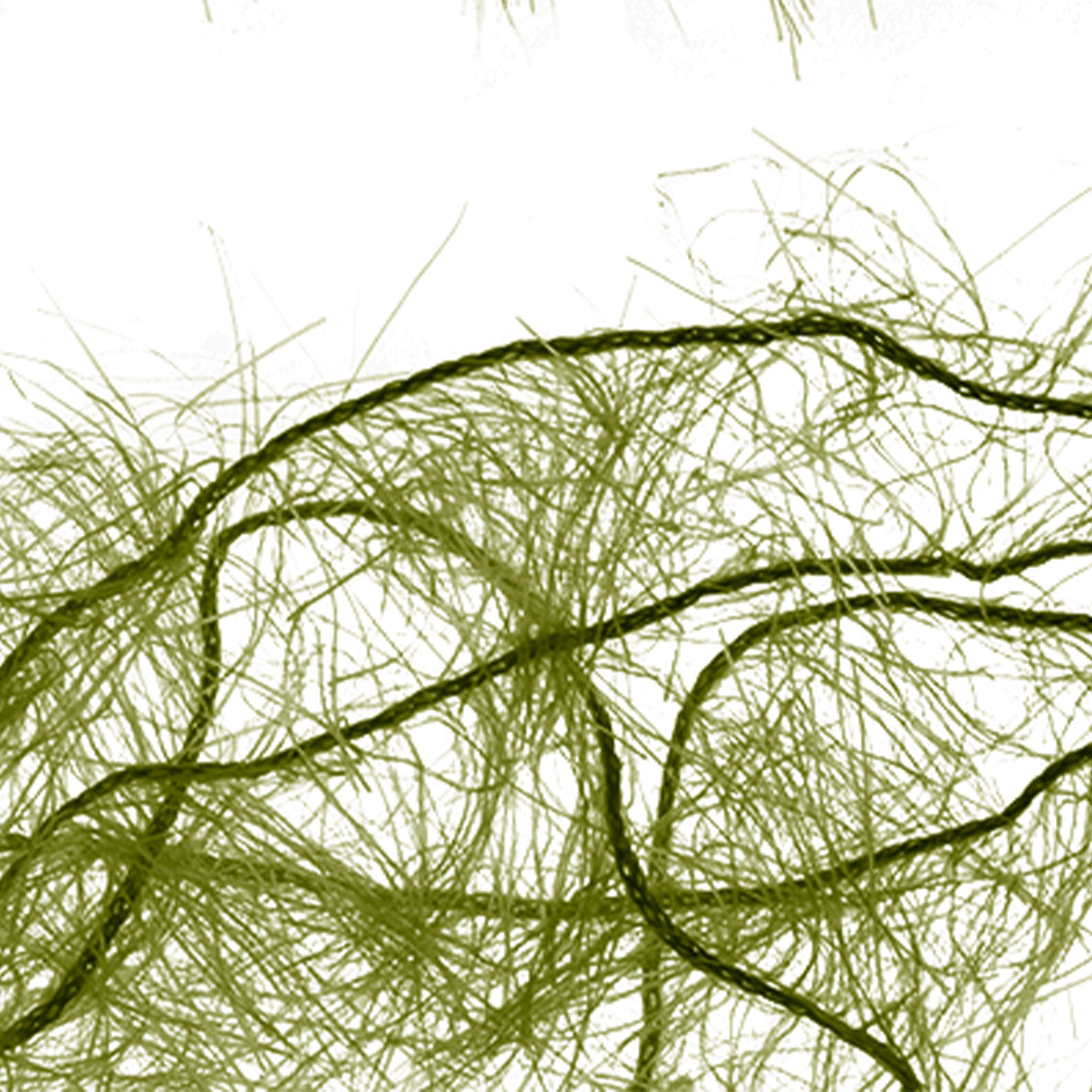 Senyo's Super Satin Polar Chenille