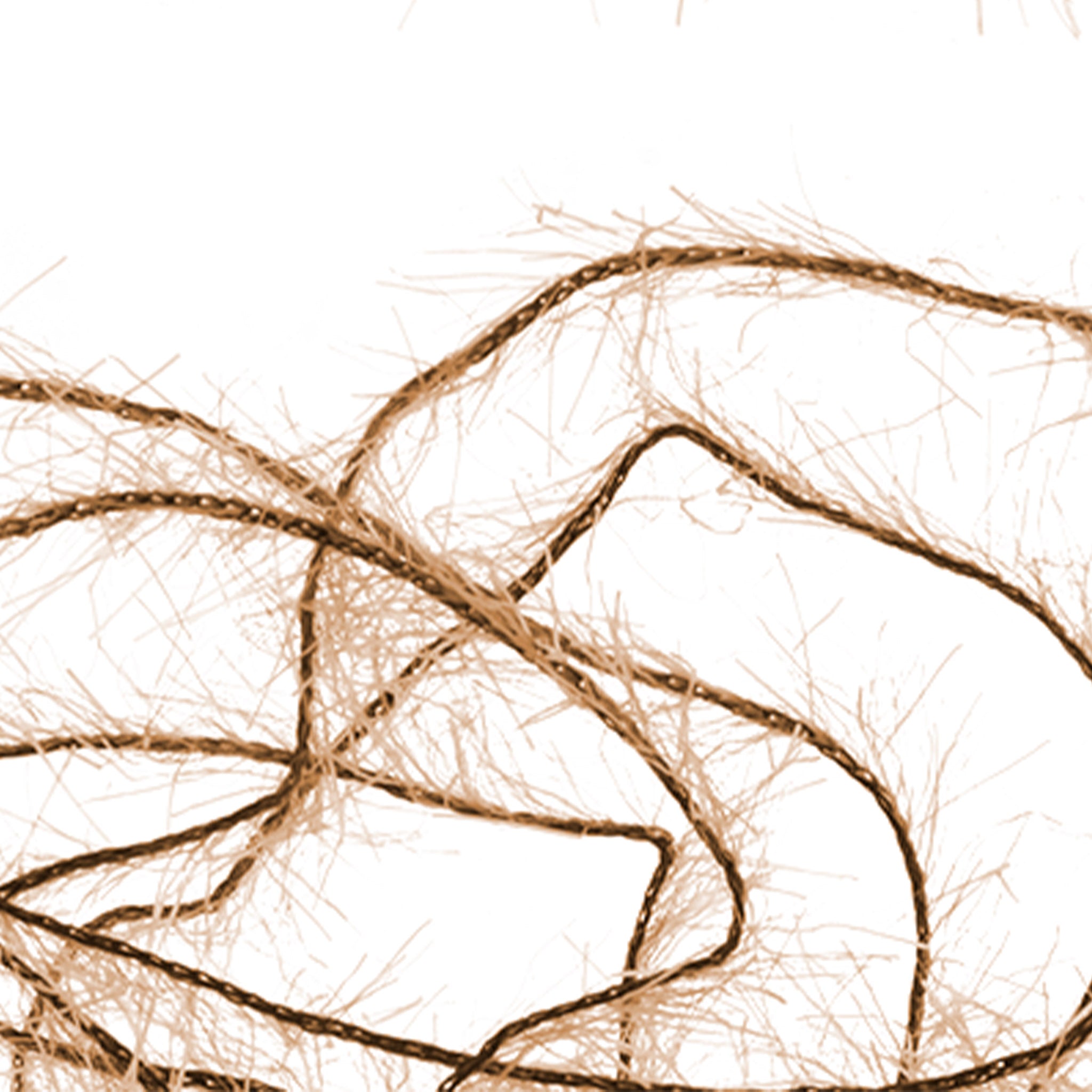 Senyo's Super Satin Polar Chenille