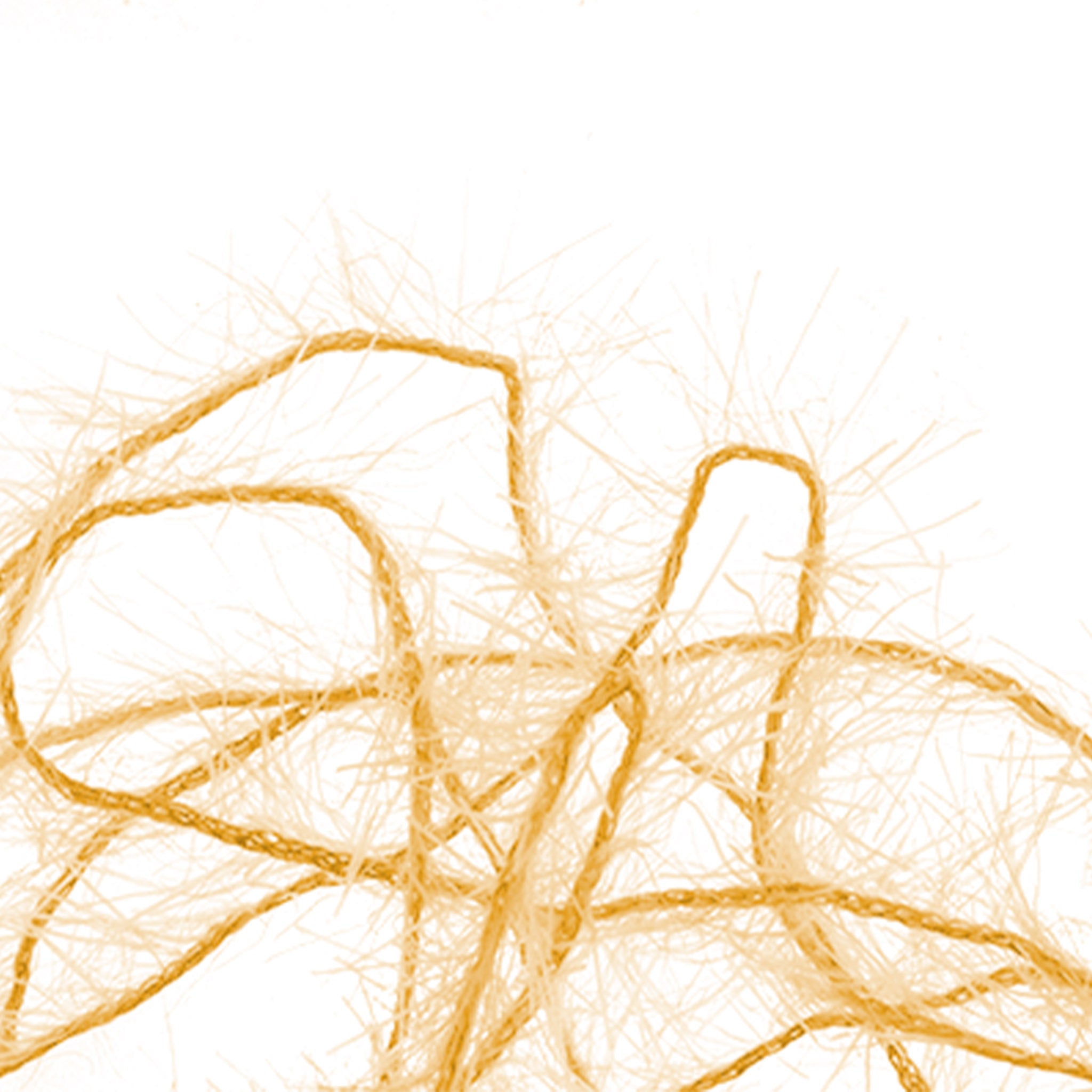 Senyo's Super Satin Polar Chenille