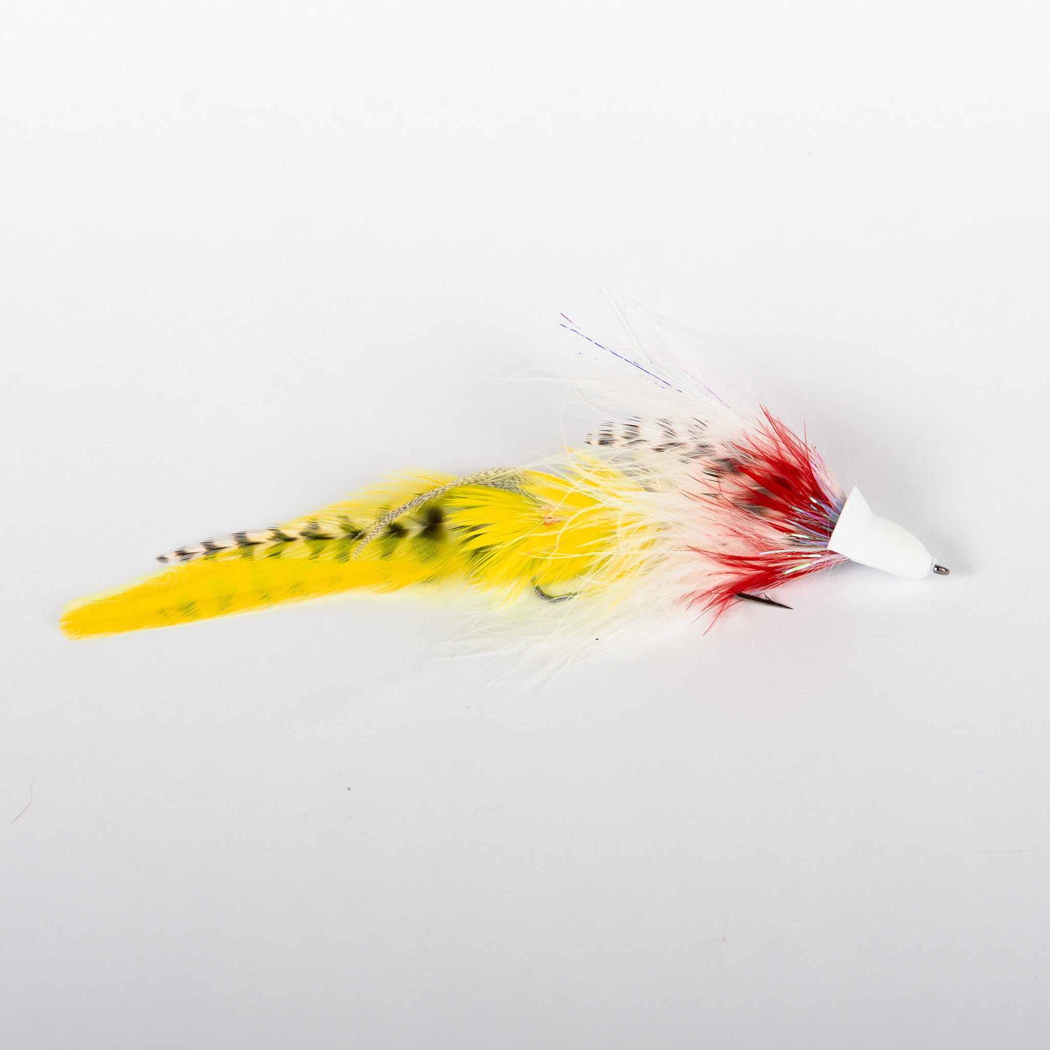 Schultzy's Swingin' D (Locally Tied)