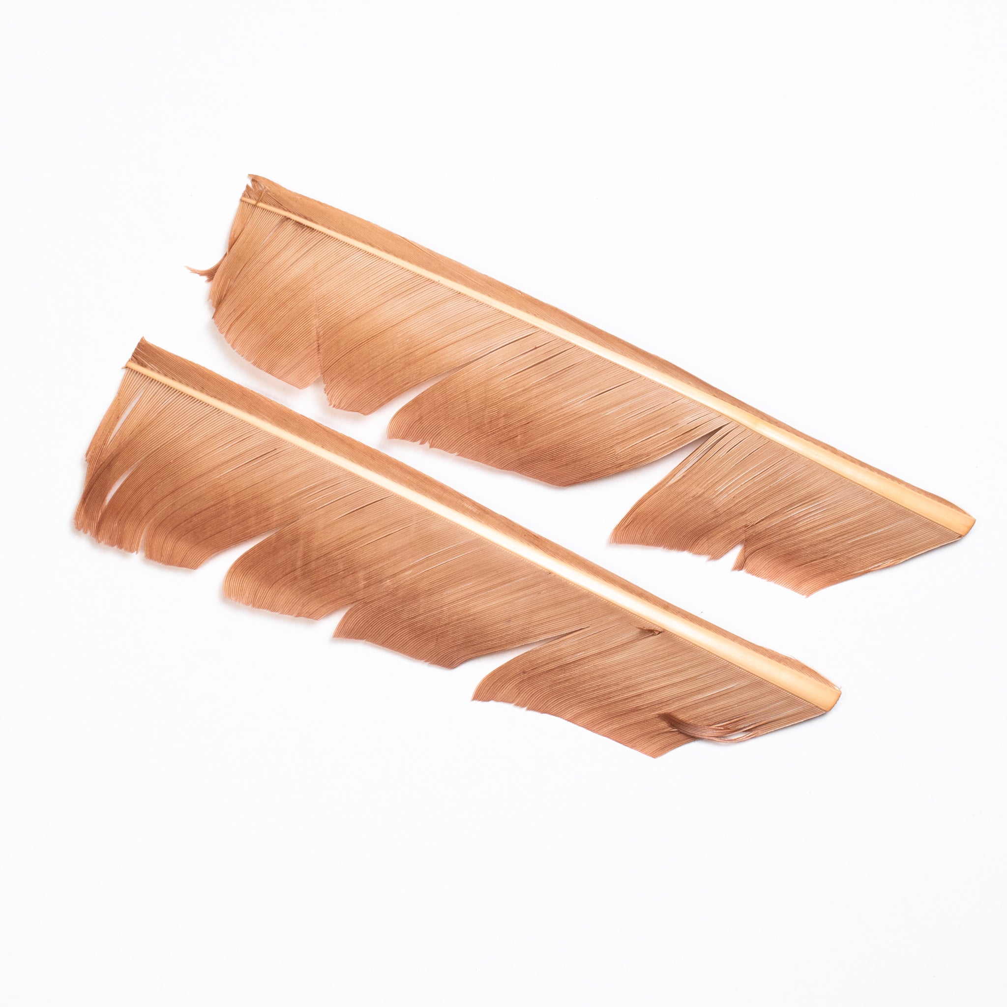 Nature's Spirit Turkey Biot Quills