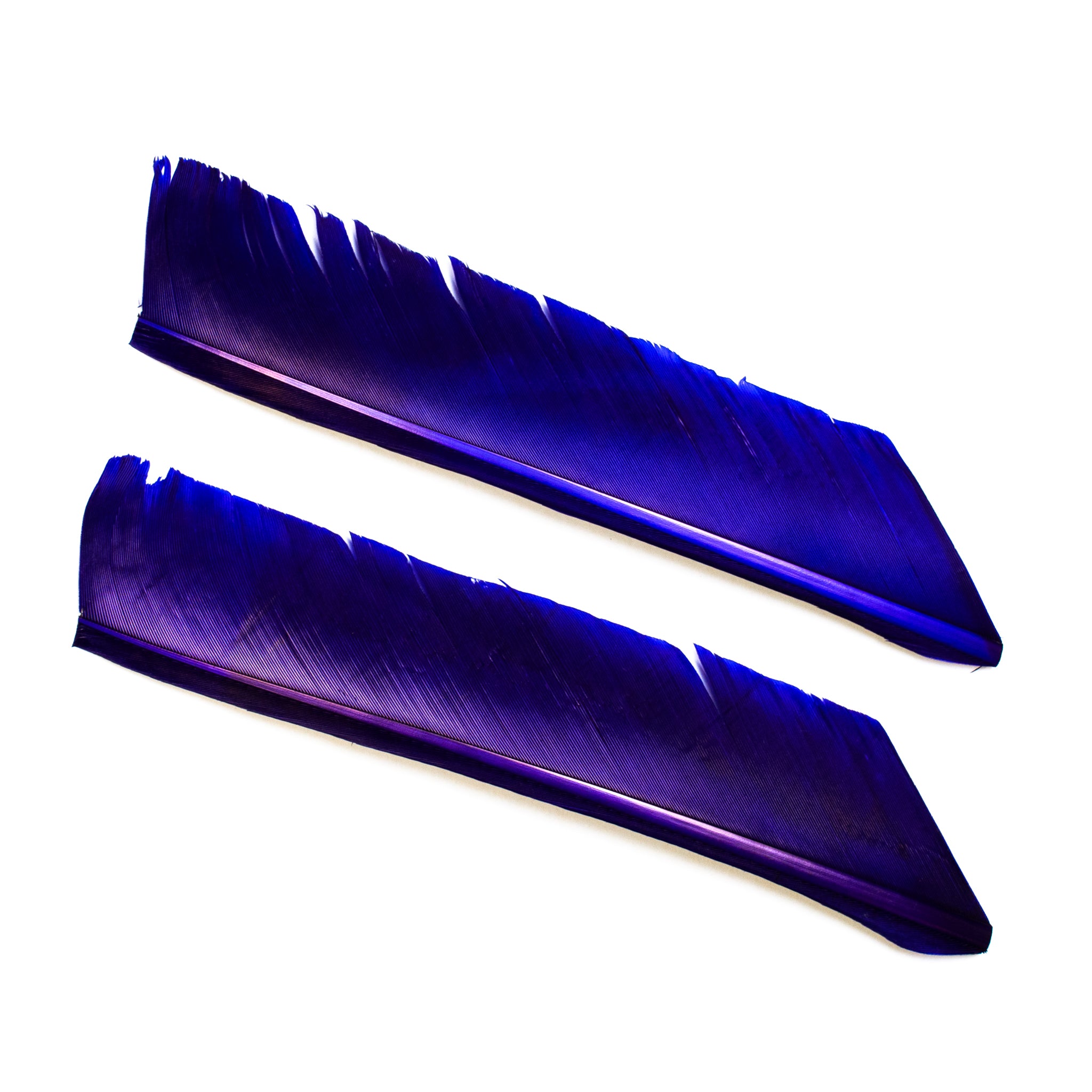Nature's Spirit Turkey Biot Quills