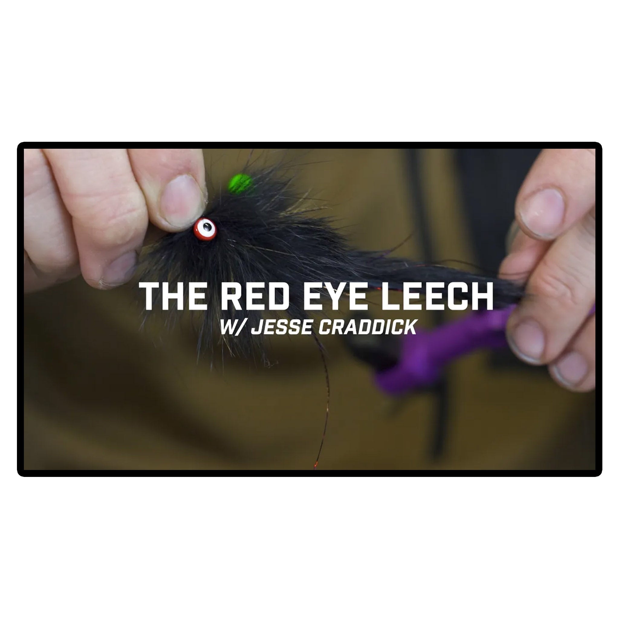 Red Eye Leech Fly Tying Kit