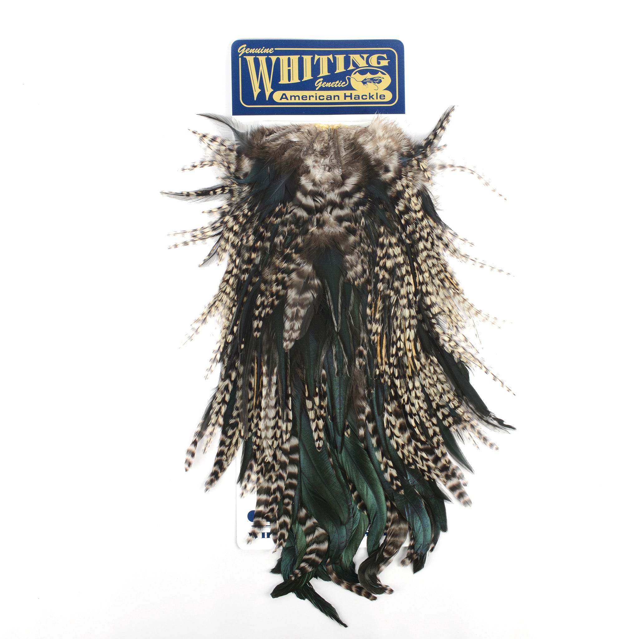 Whiting American Rooster Saddle | Schultz Outfitters