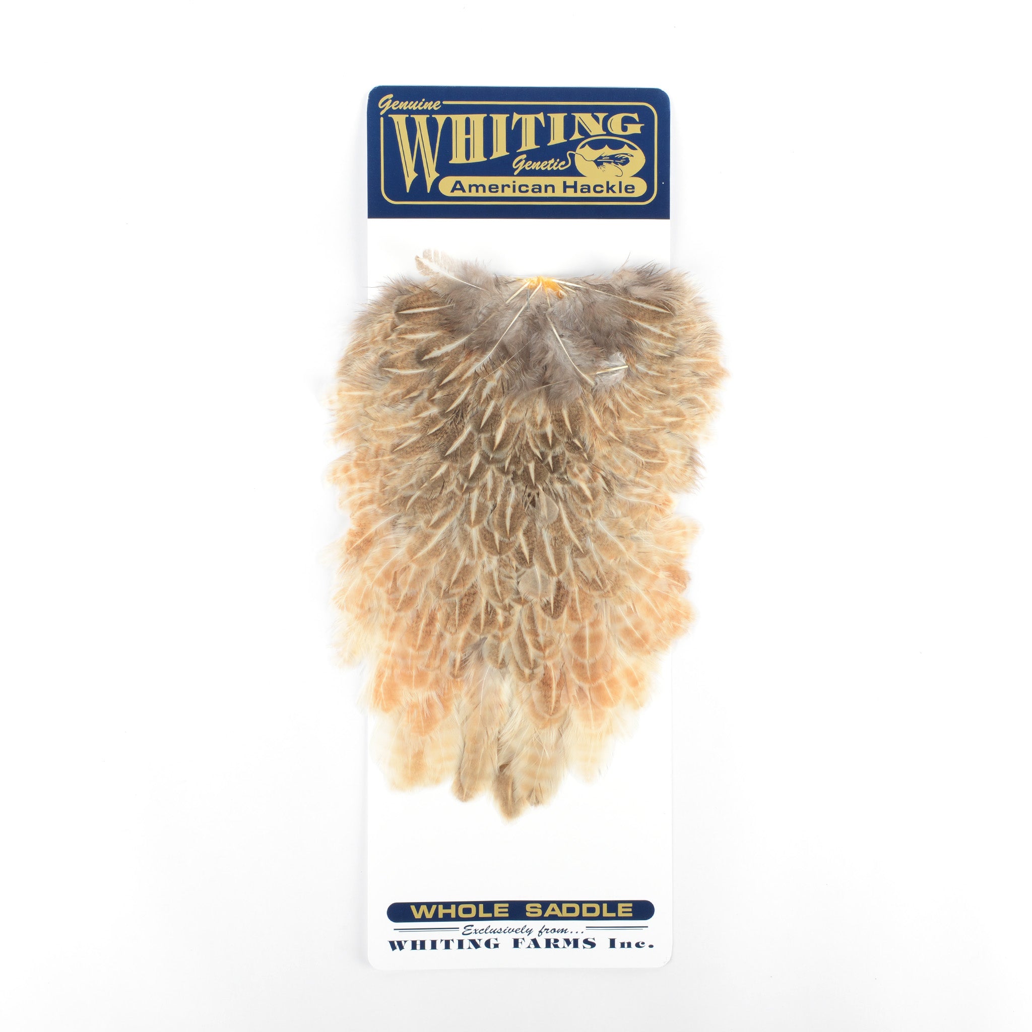 Whiting American Hen Saddle