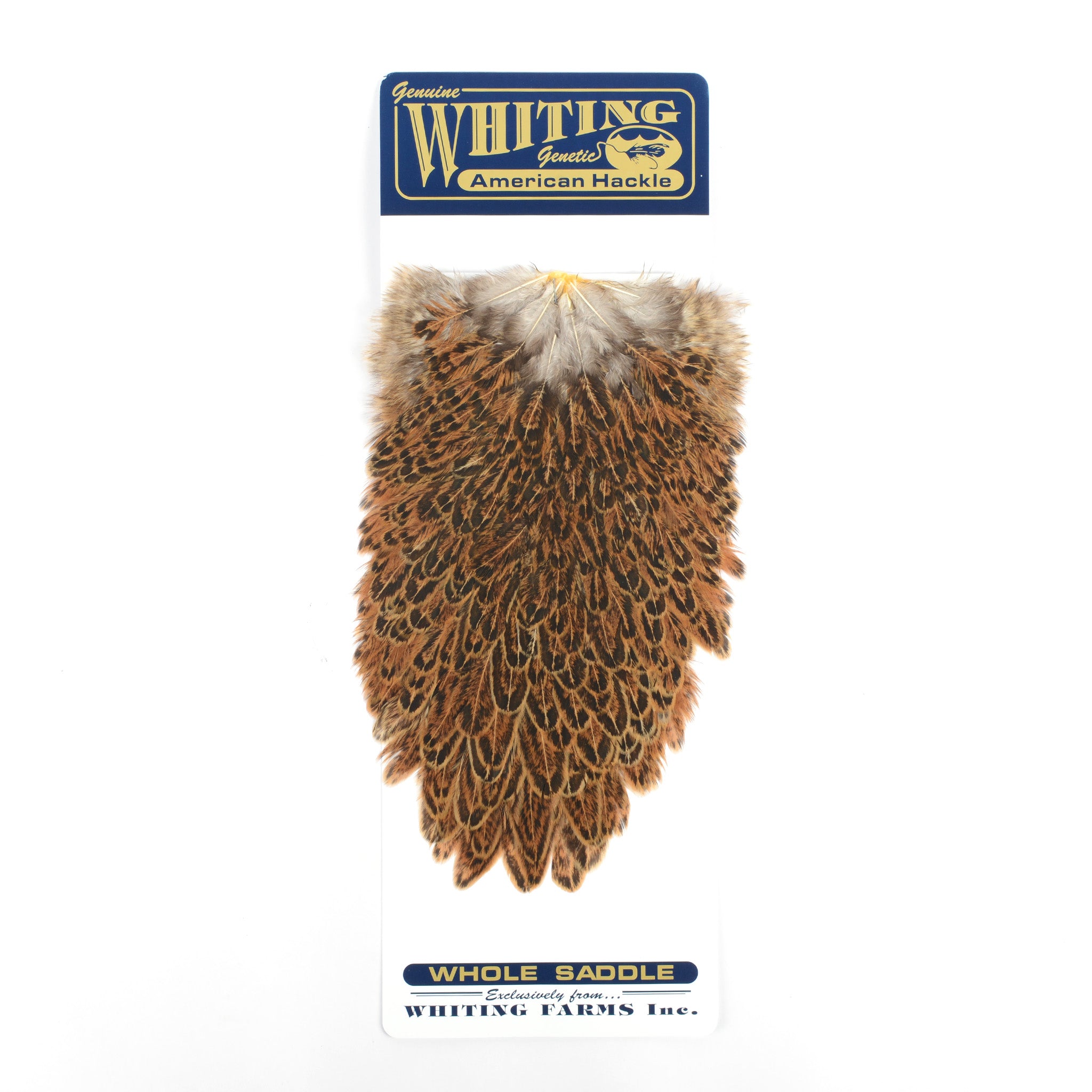 Whiting American Hen Saddle