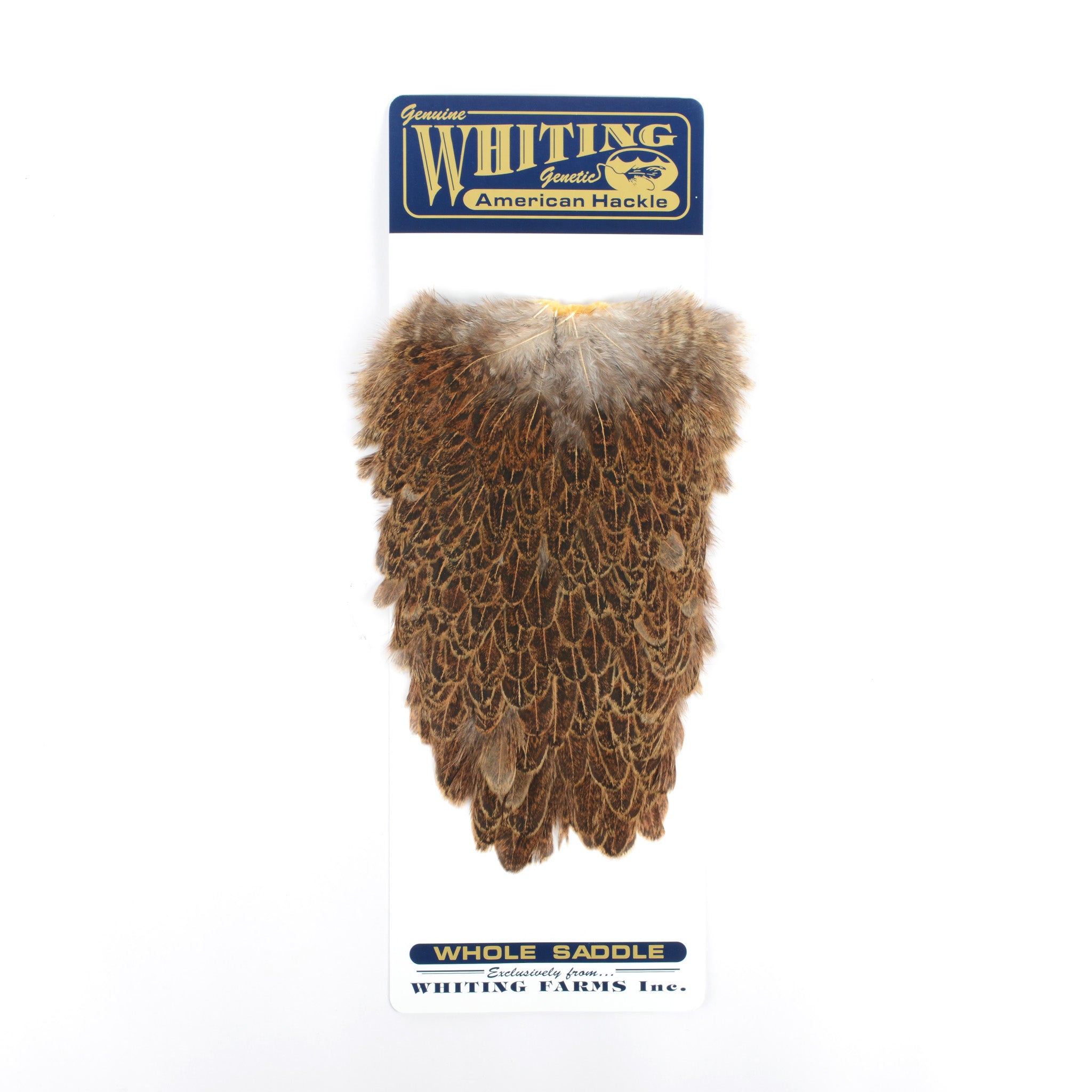 Whiting American Hen Saddle