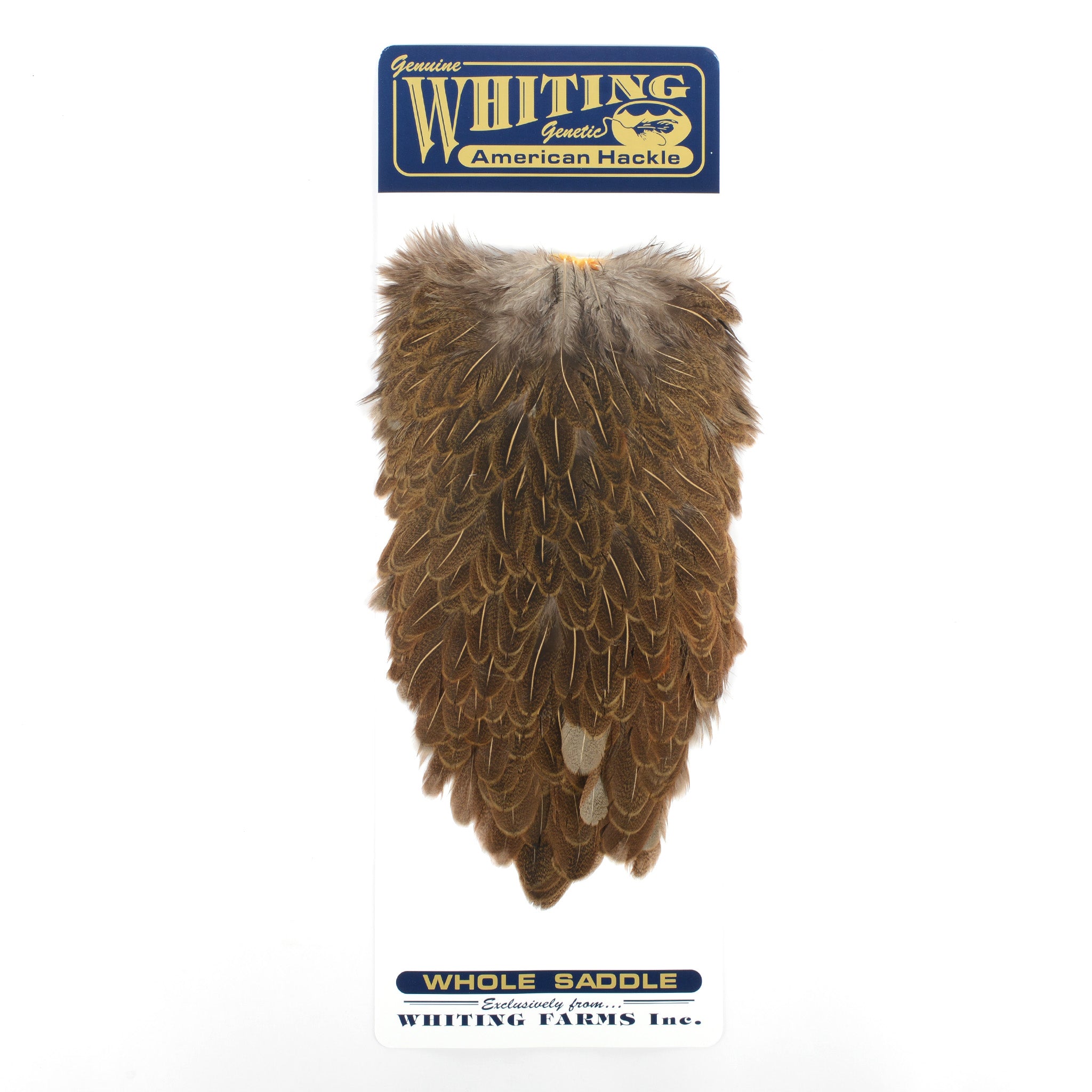 Whiting American Hen Saddle