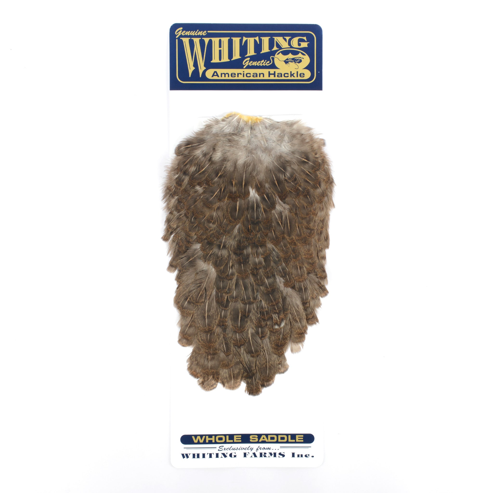Whiting American Hen Saddle