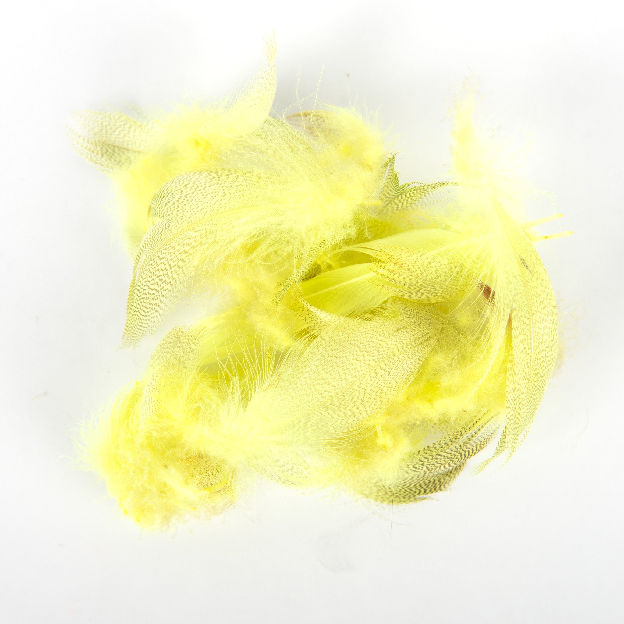 Wapsi Mallard Flank Feathers