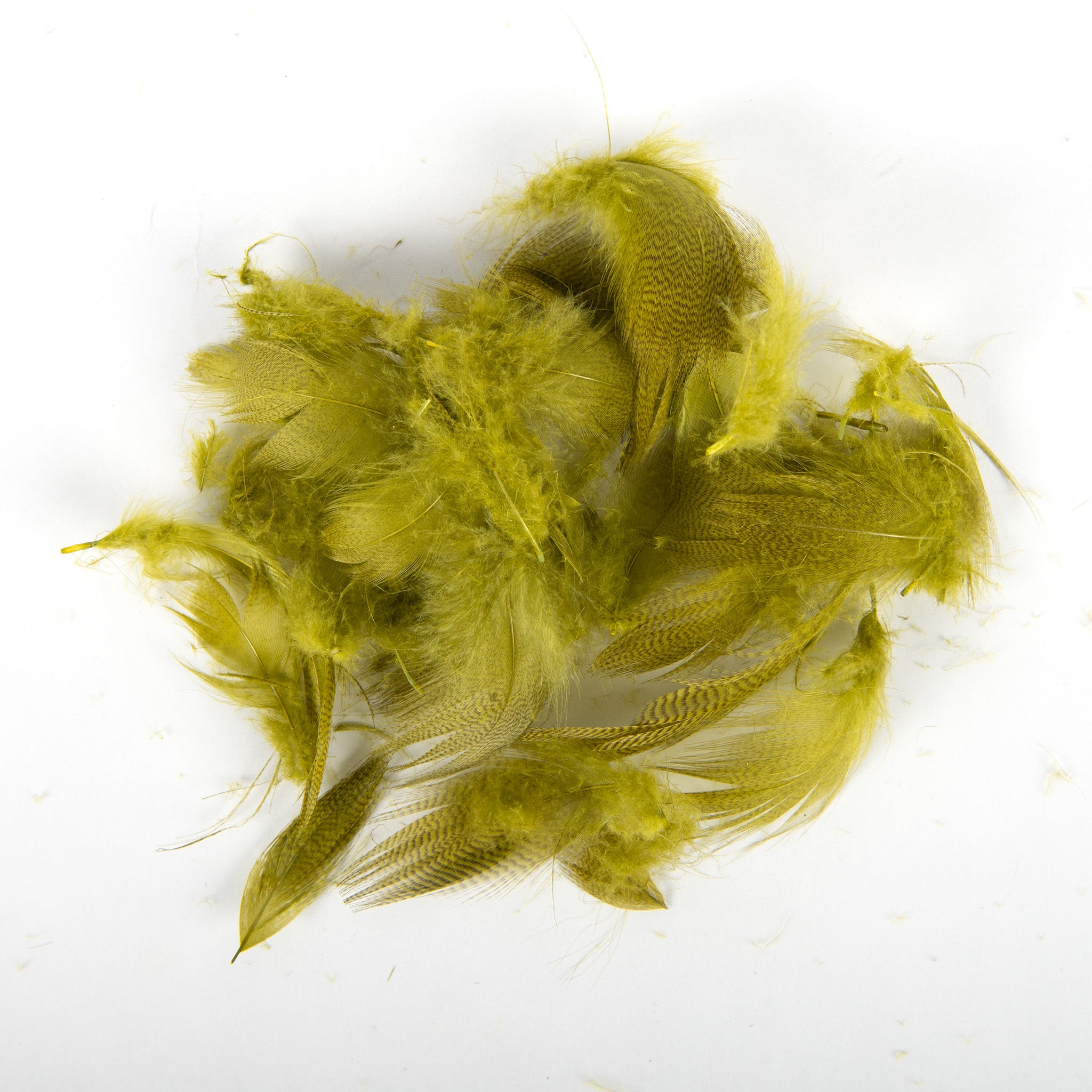 Wapsi Mallard Flank Feathers