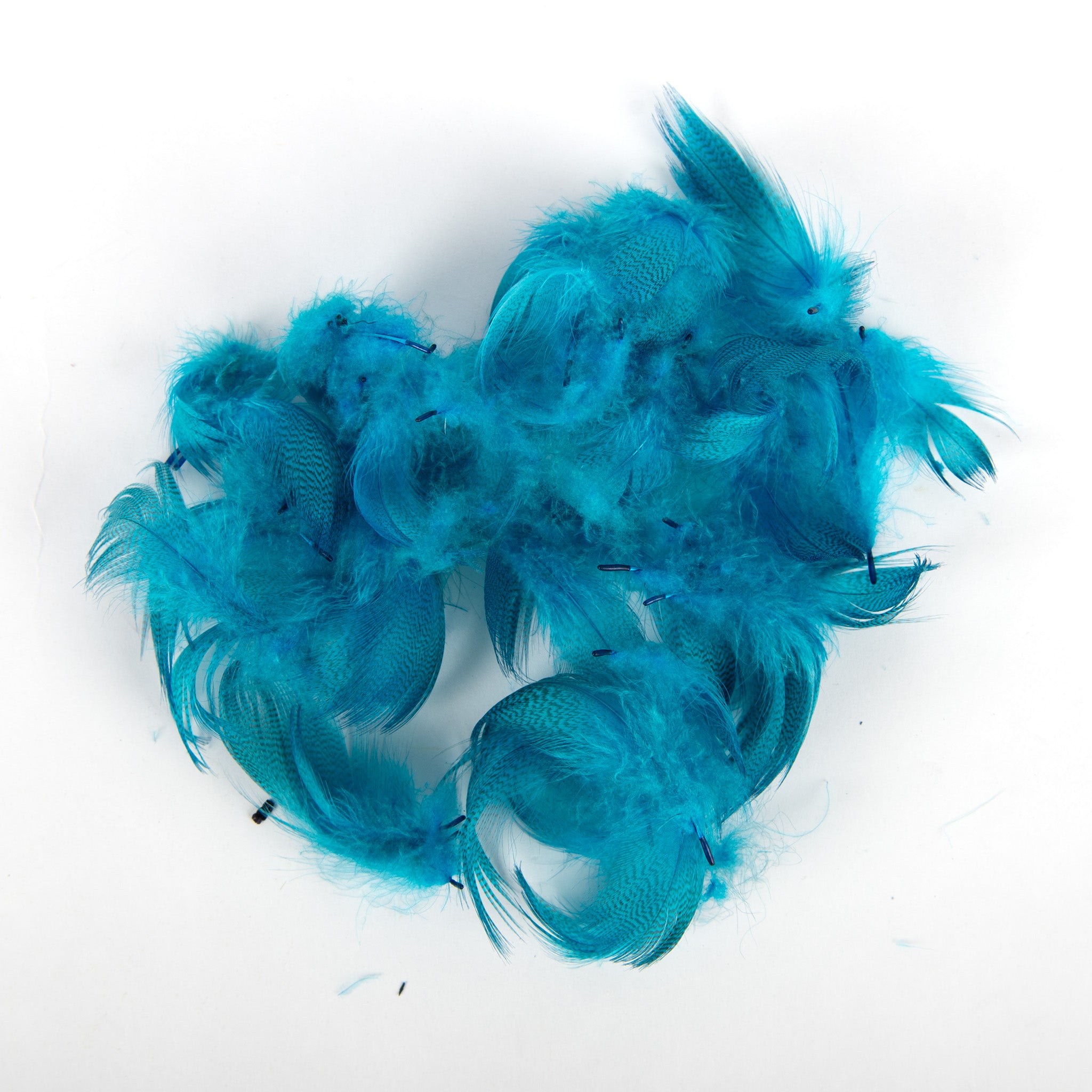 Wapsi Mallard Flank Feathers