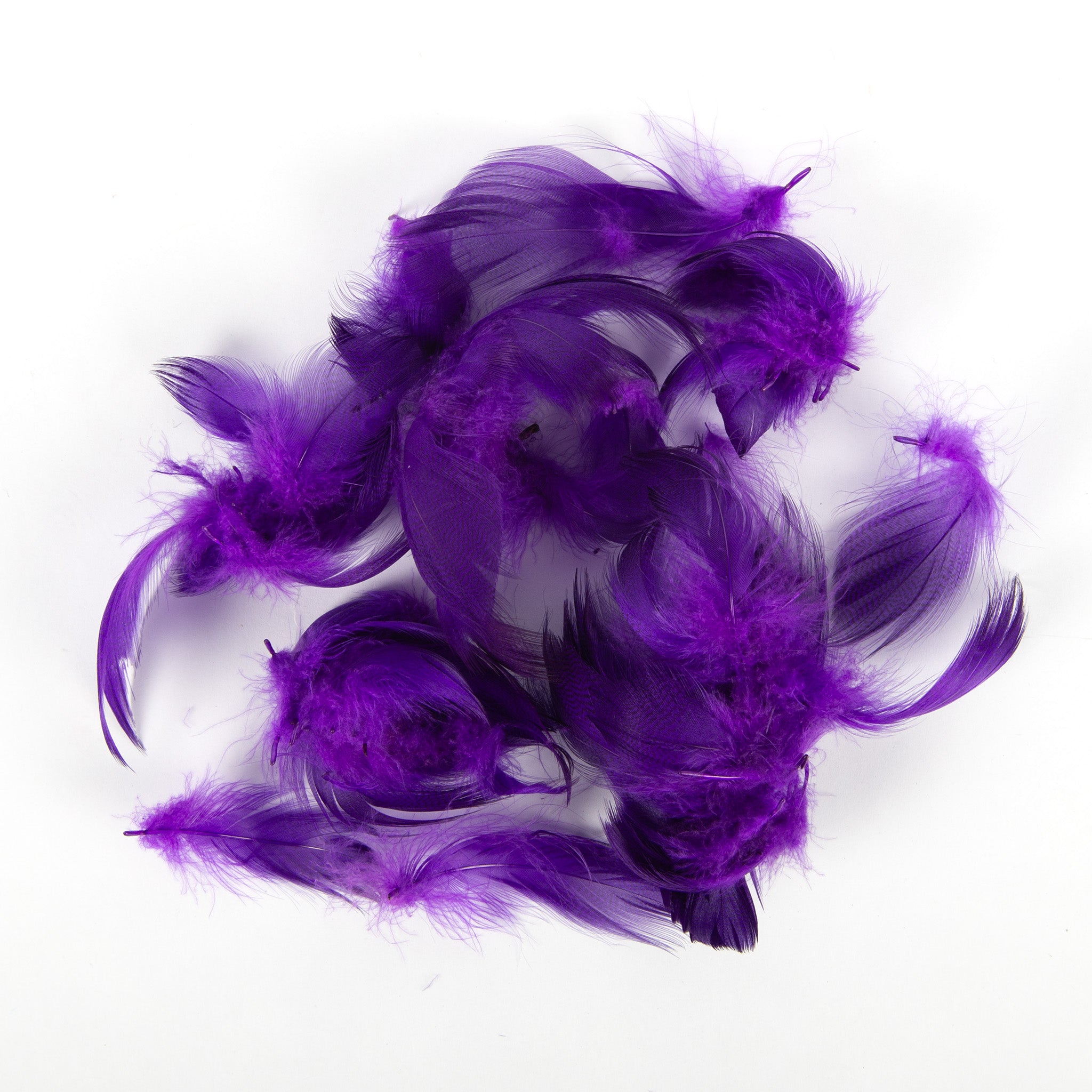Wapsi Mallard Flank Feathers
