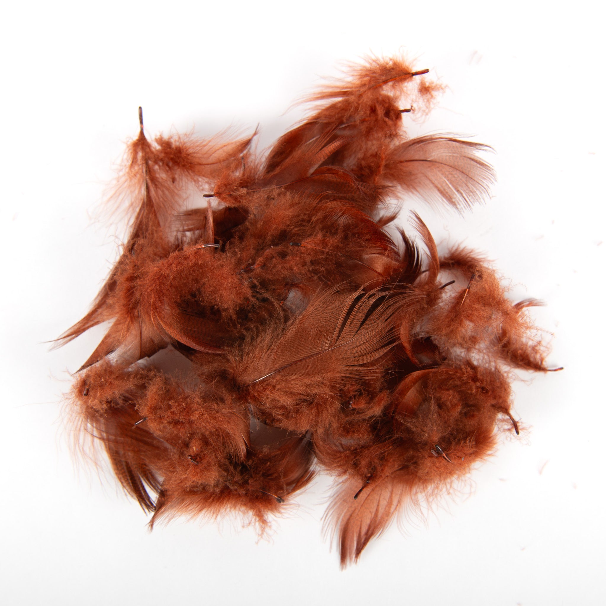 Wapsi Mallard Flank Feathers