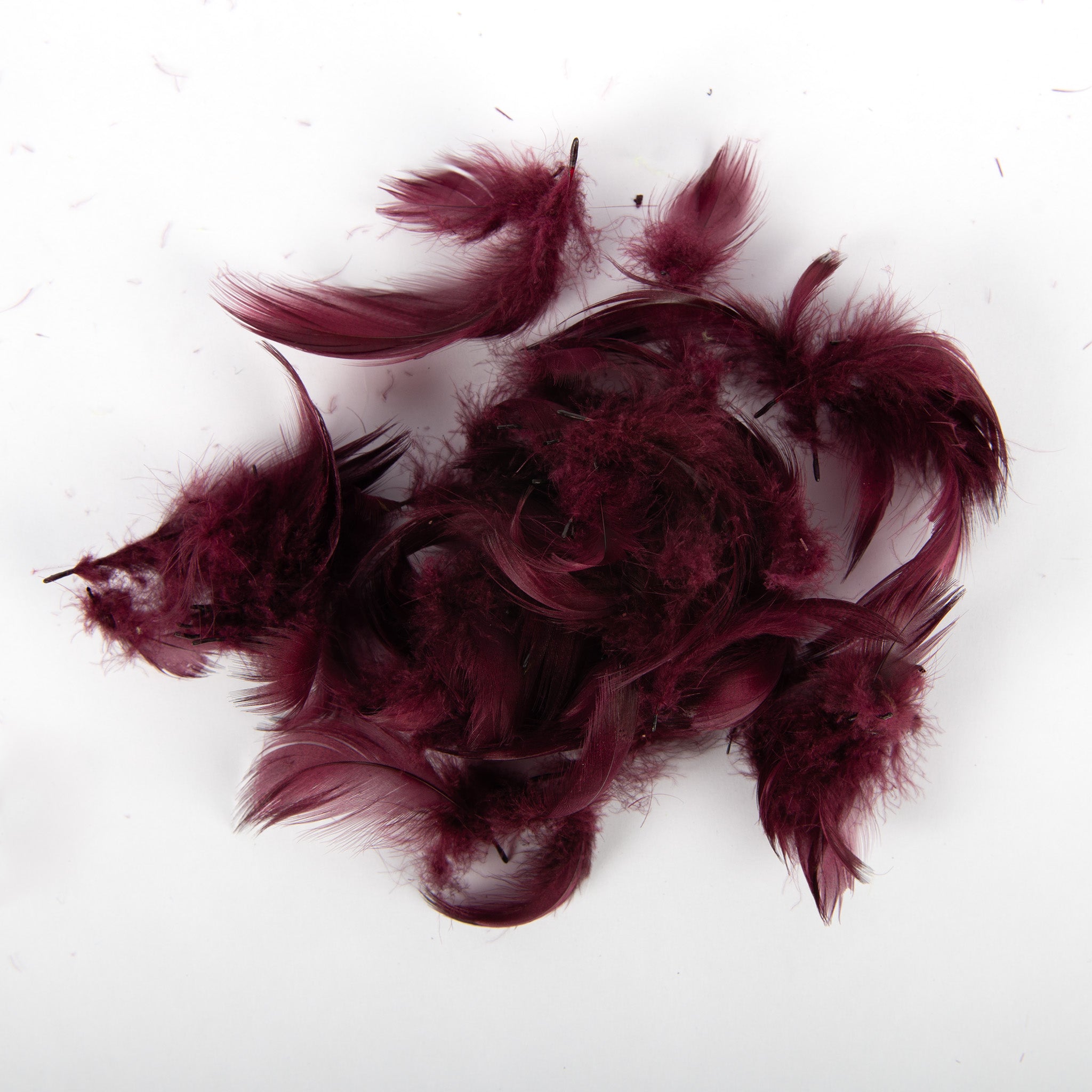 Wapsi Mallard Flank Feathers