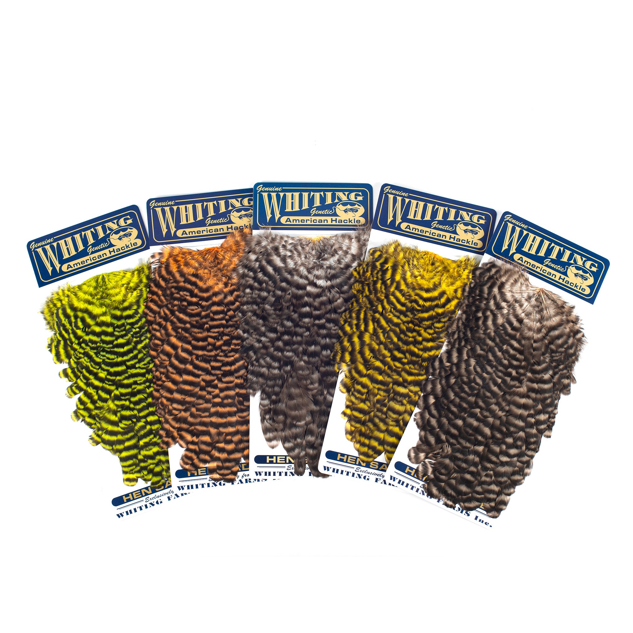 Whiting American Hen Saddle