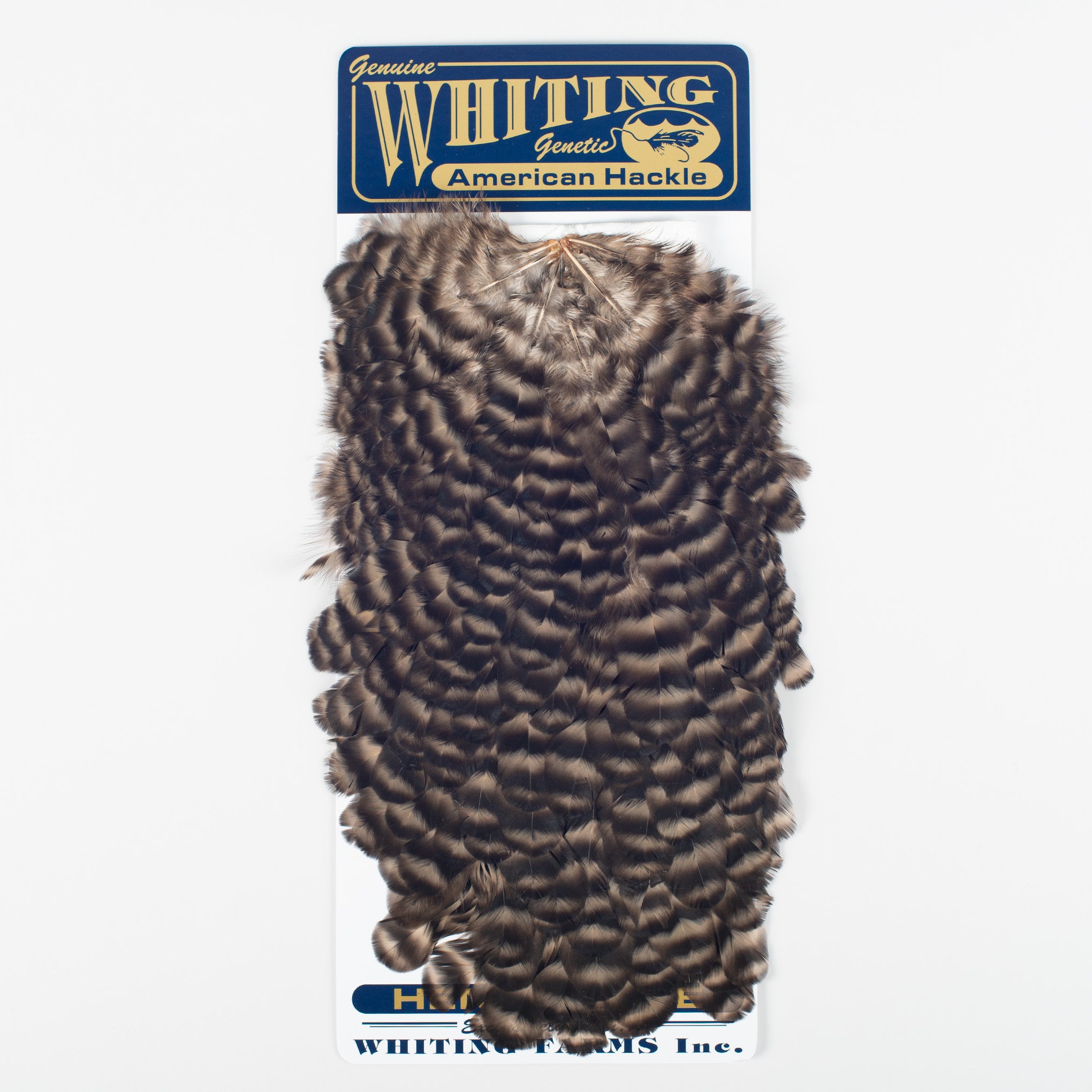 Whiting American Hen Saddle