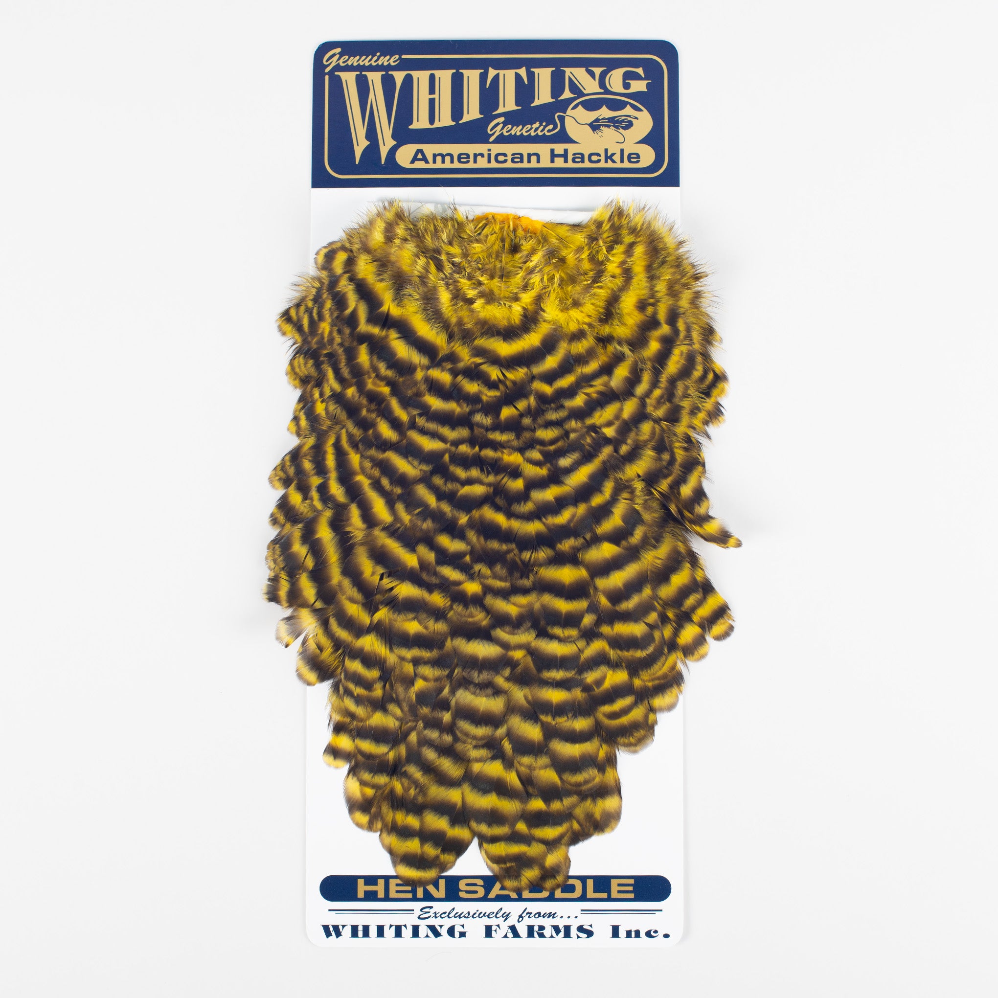 Whiting American Hen Saddle