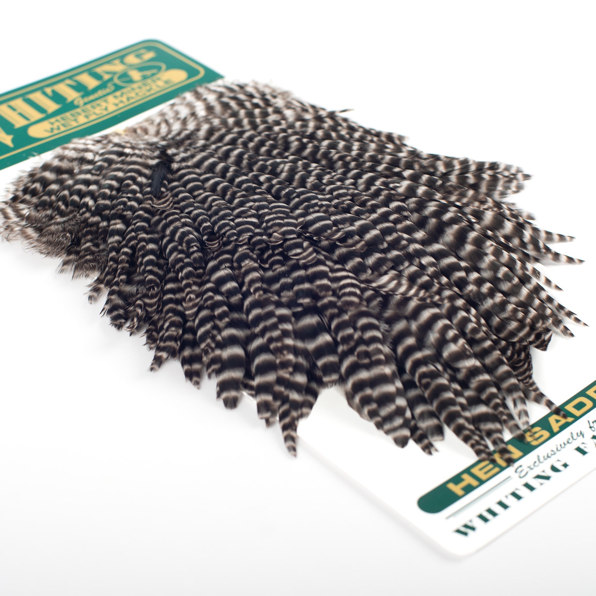 Whiting Hebert Miner Hen Saddle