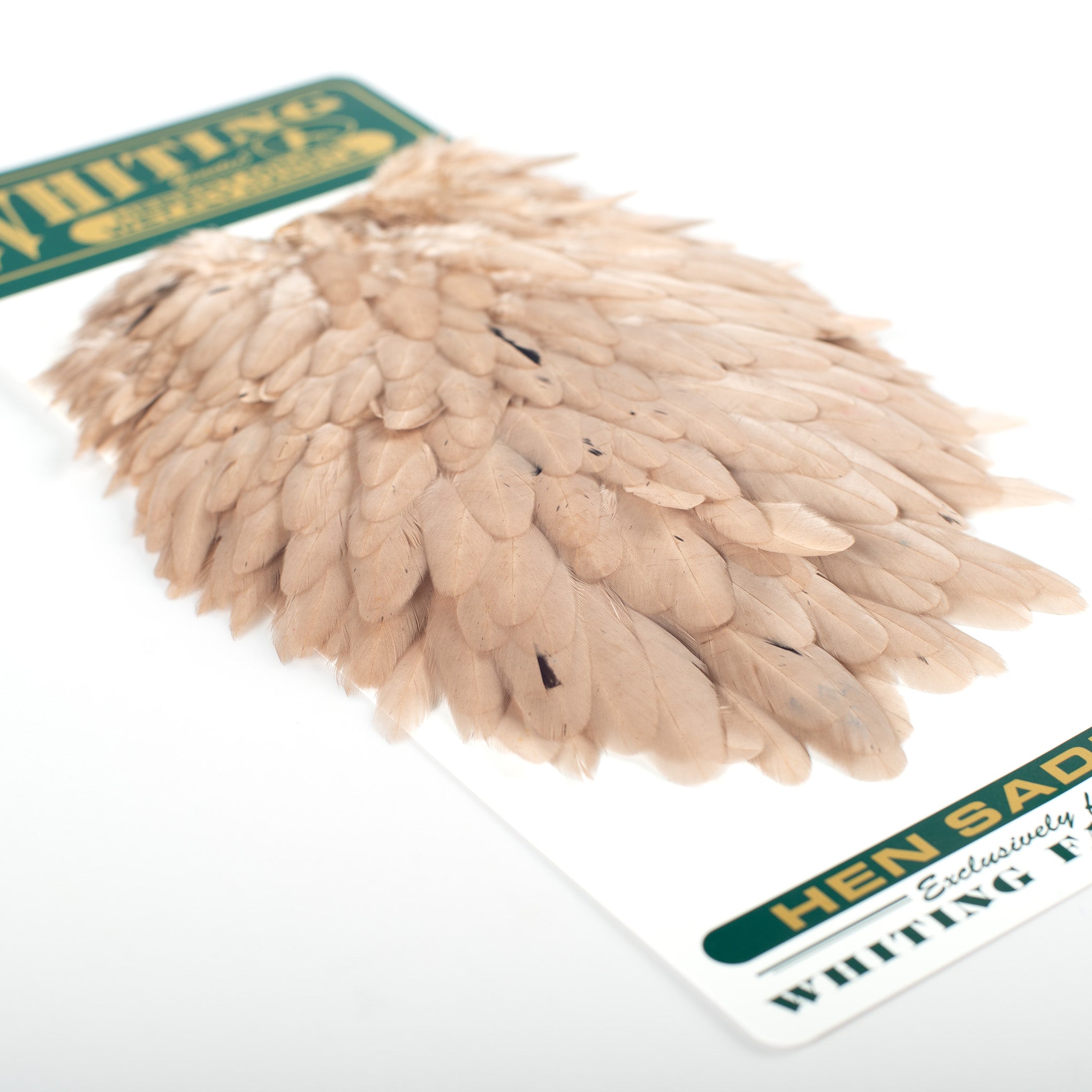 Whiting Hebert Miner Hen Saddle